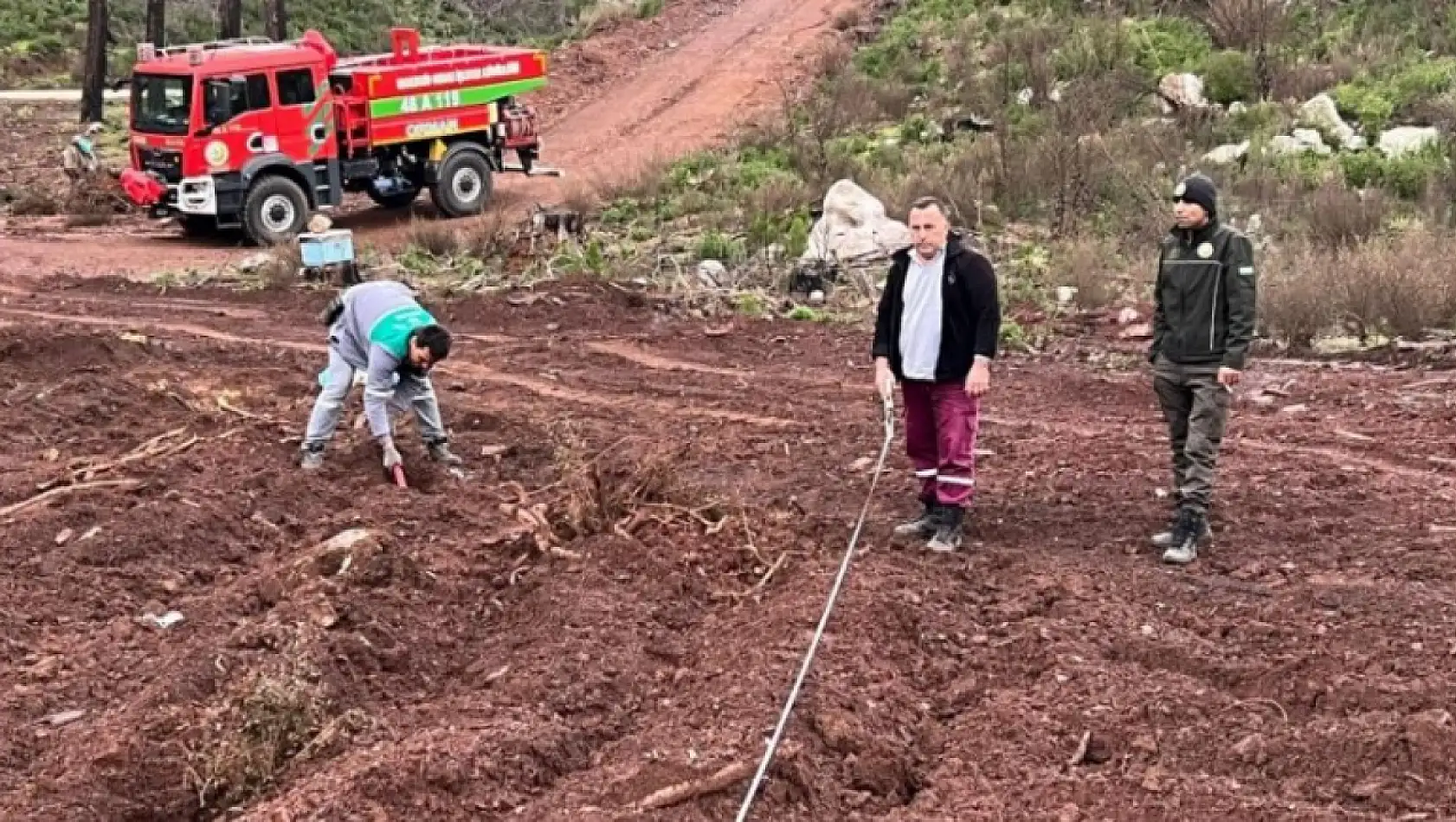 'Bal Ormanı' projesi için alan hazırlıkları tamamlandı