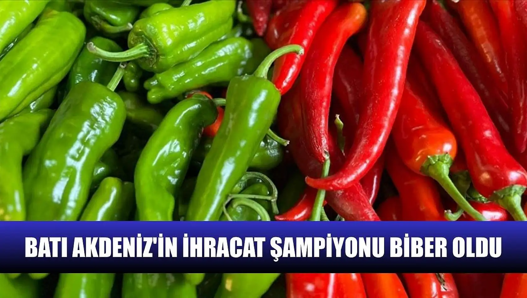 Batı Akdeniz'in ihracat şampiyonu biber oldu