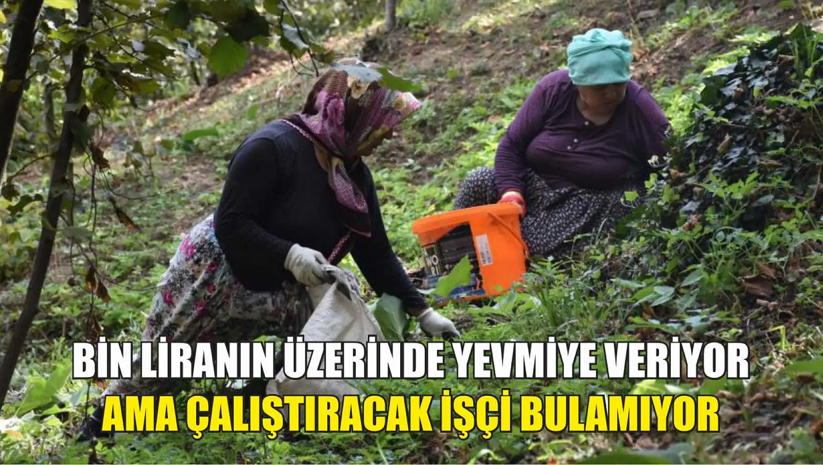 Bin liranın üzerinde yevmiye veriyor ama çalıştıracak işçi bulamıyor