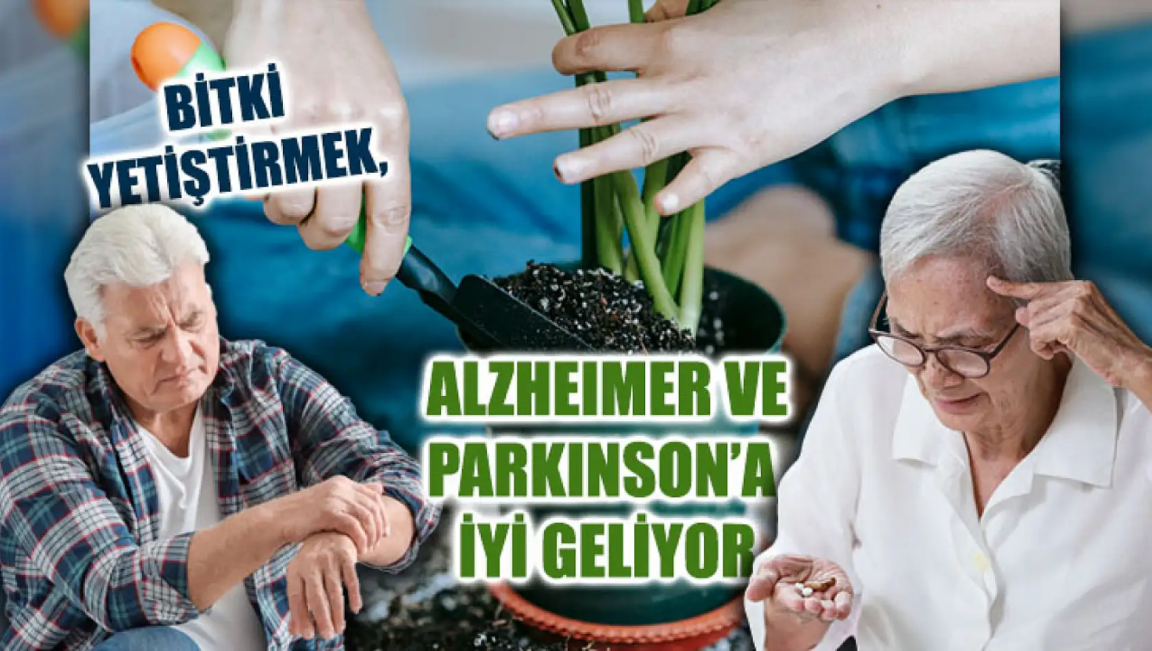 Bitki Yetiştirmek, Alzheımer Ve Parkınson'a İyi Geliyor