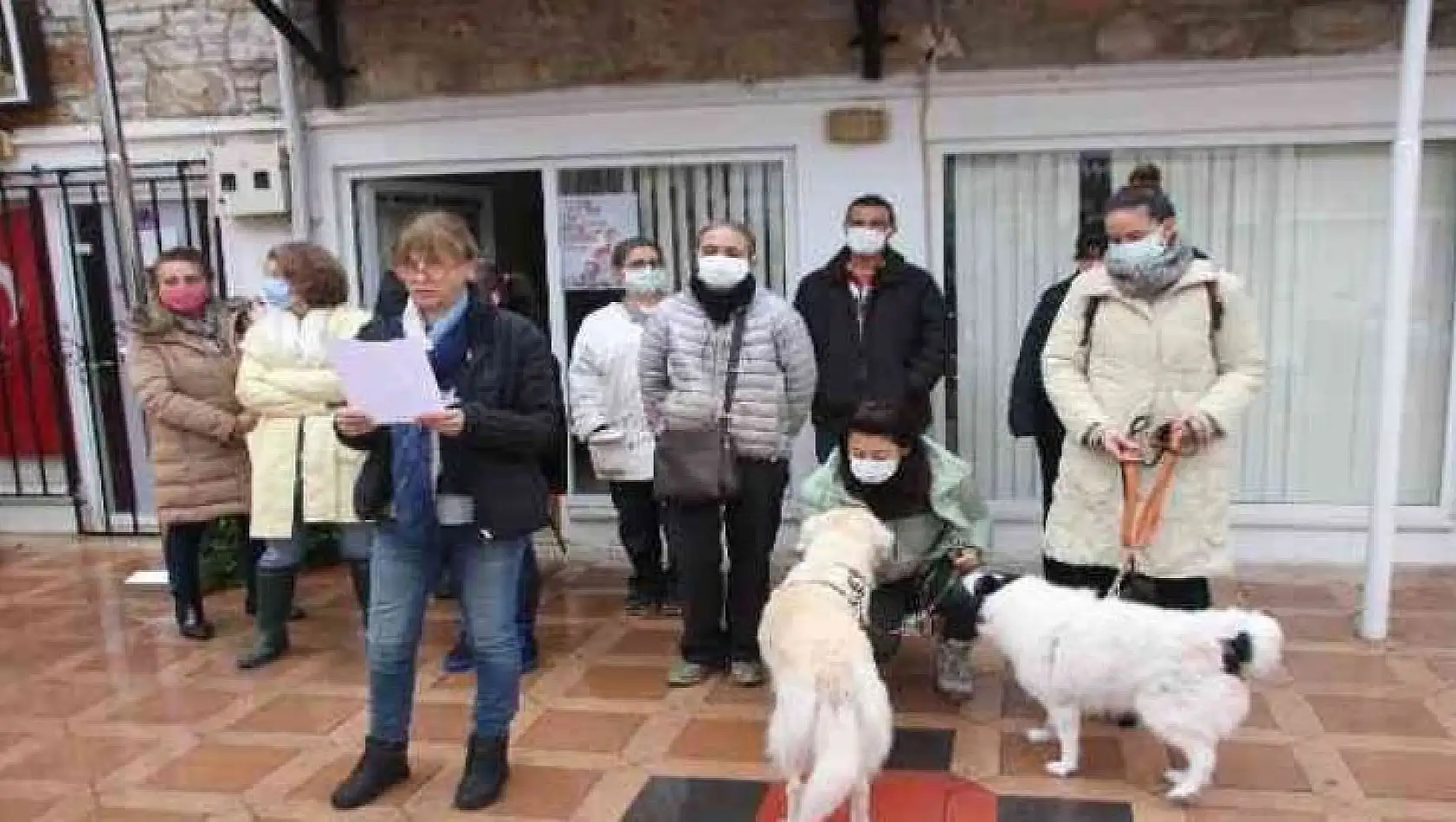 Bodrum'da hayvanseverler şiddet olaylarına dikkati çekti