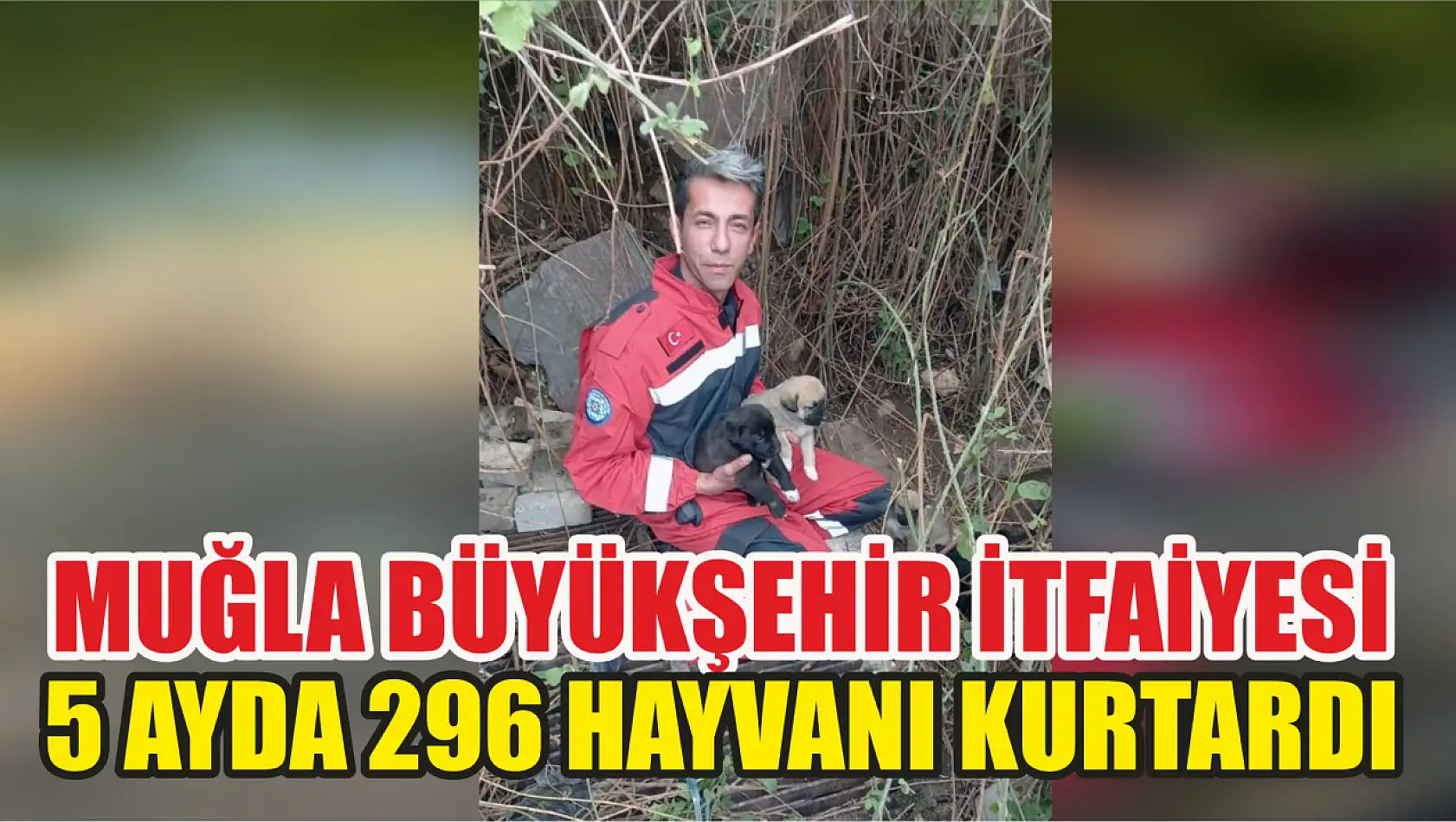 Büyükşehir İtfaiyesi 5 Ayda 296 Hayvanı Kurtardı