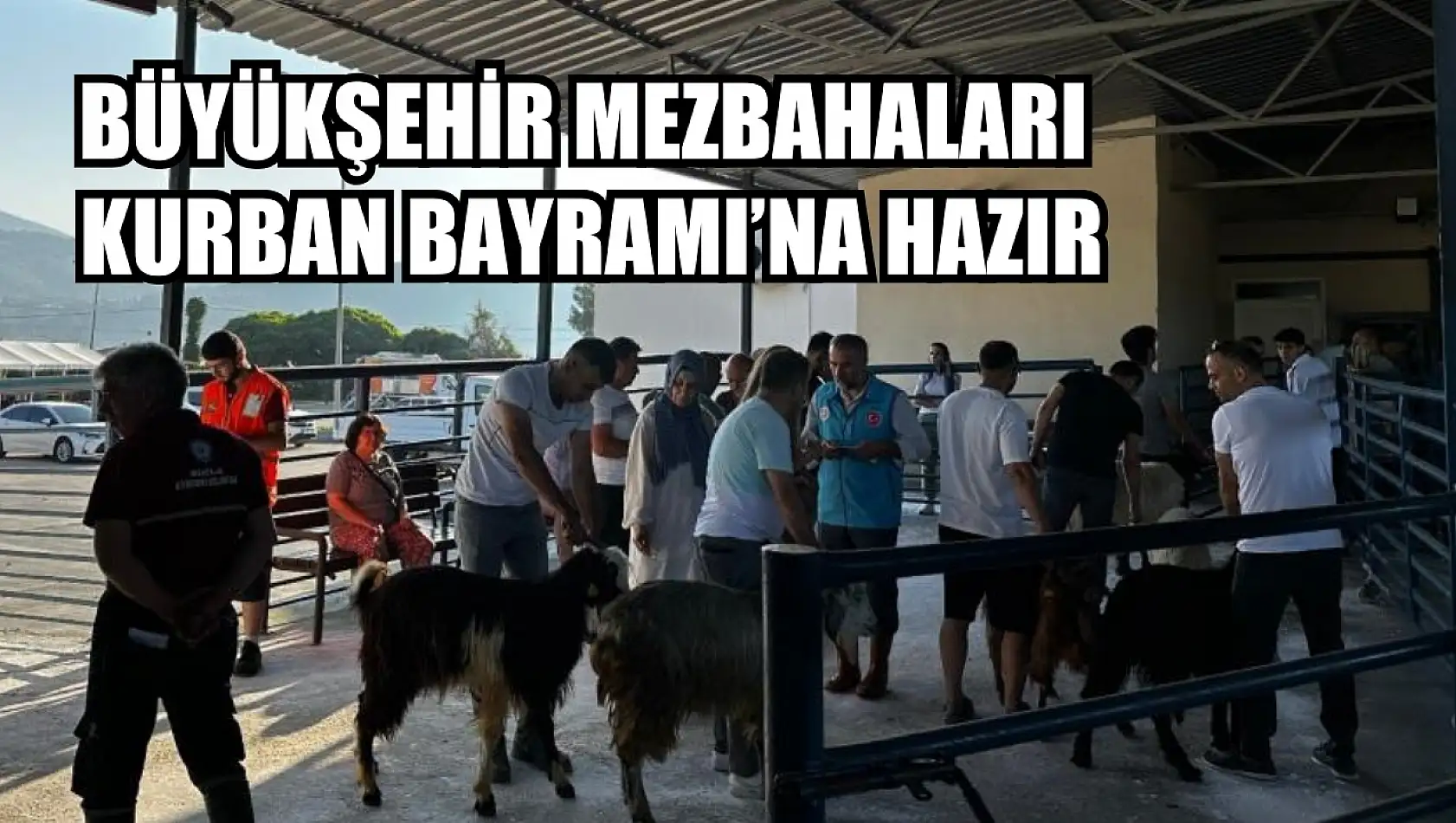 Büyükşehir Mezbahaları Kurban Bayramı'na hazır