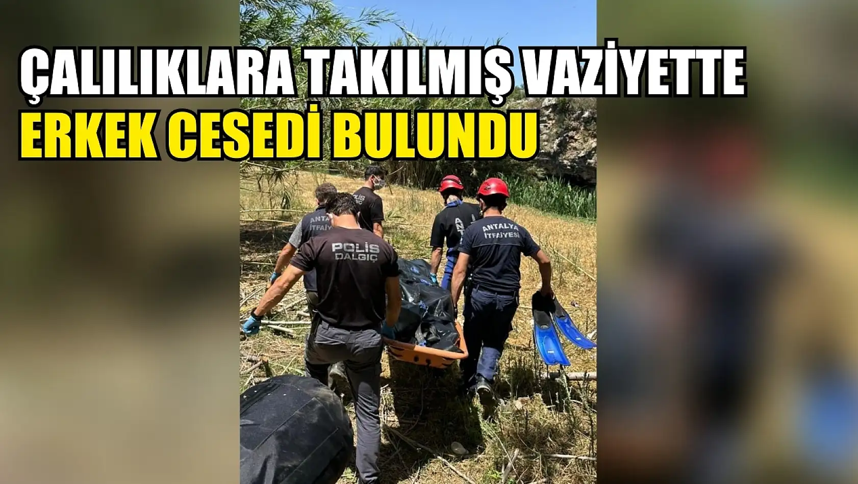 Çalılıklara takılmış vaziyette erkek cesedi bulundu