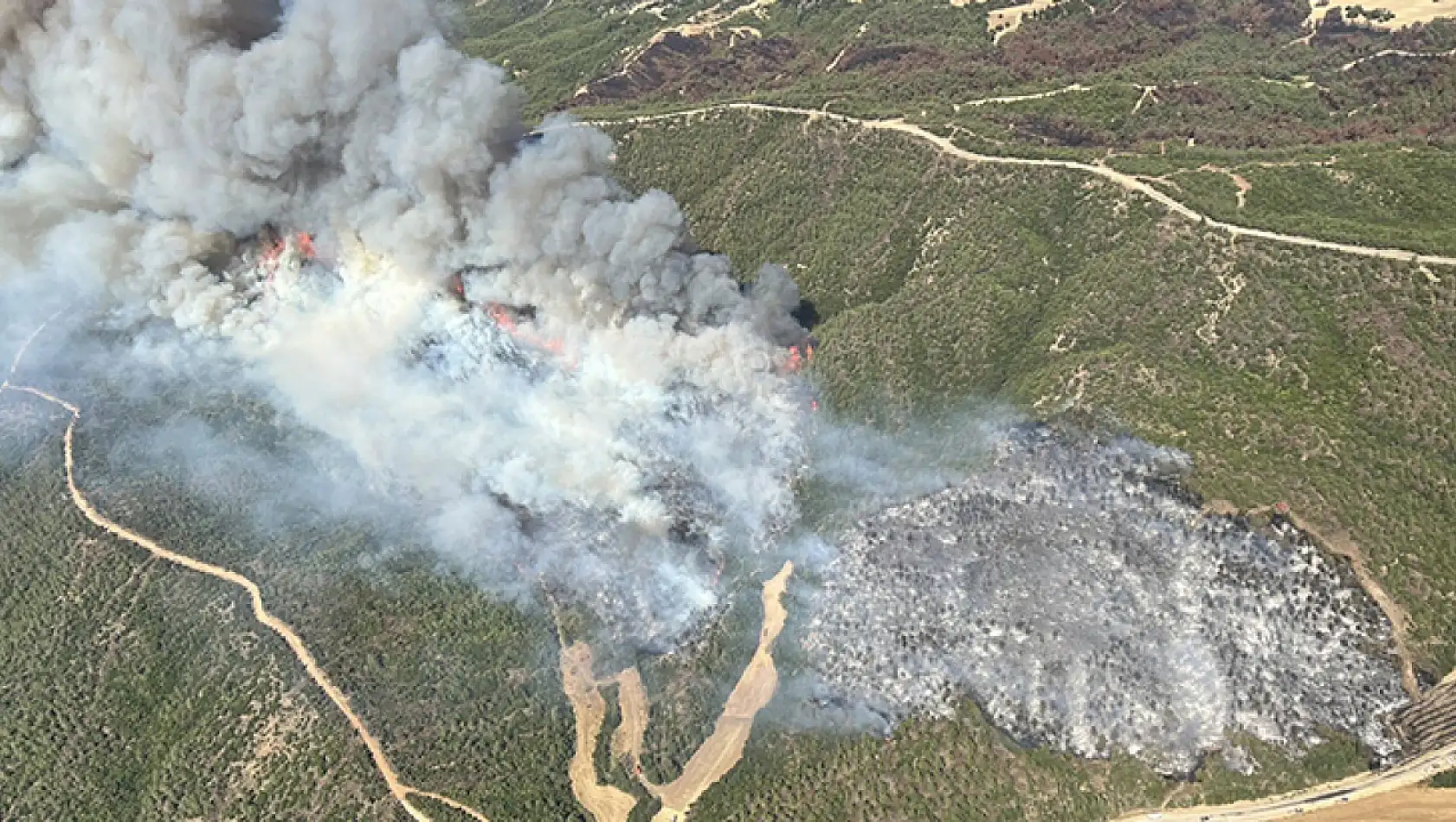 Çanakkale'deki Orman Yangını Rüzgarın Etkisiyle Büyüyor