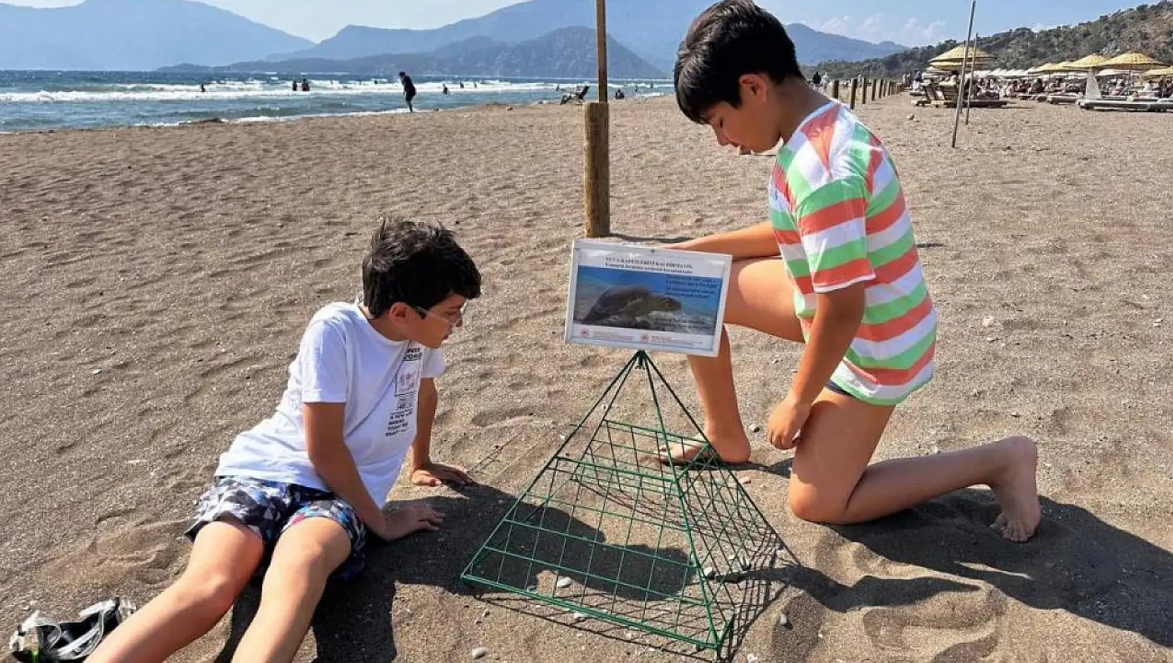 Caretta Kaplumbağaları İçin Dijital Kitap Yazdılar