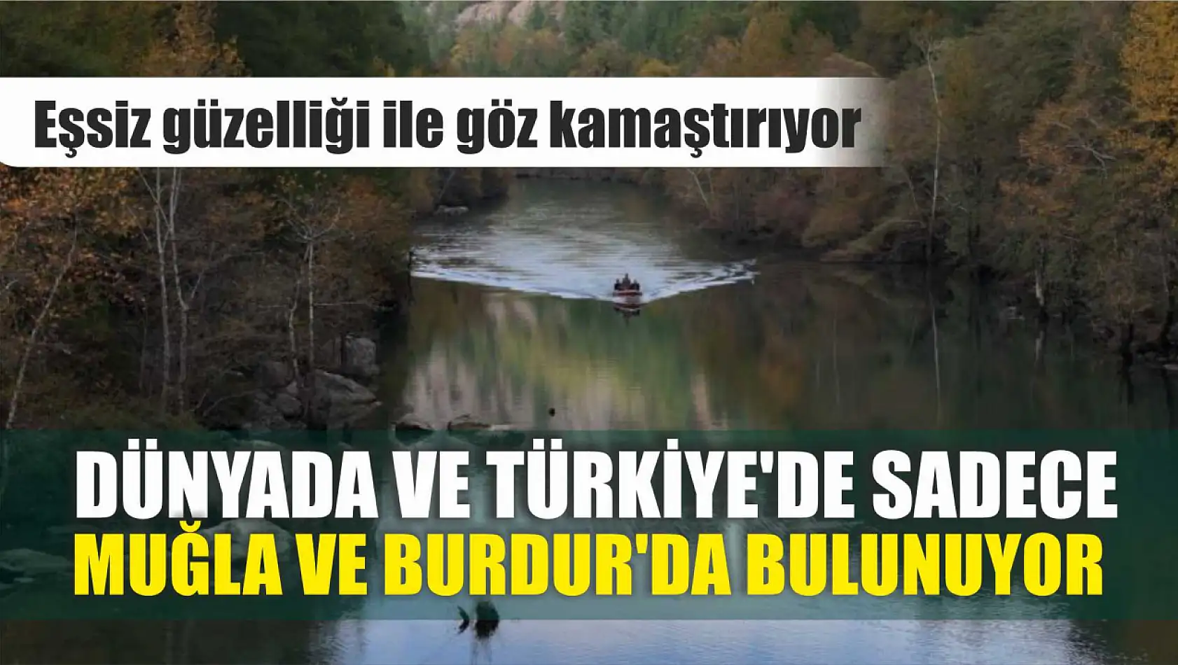 Dünyada ve Türkiye'de sadece Muğla ve Burdur'da bulunuyor, eşsiz güzelliği ile göz kamaştırıyor