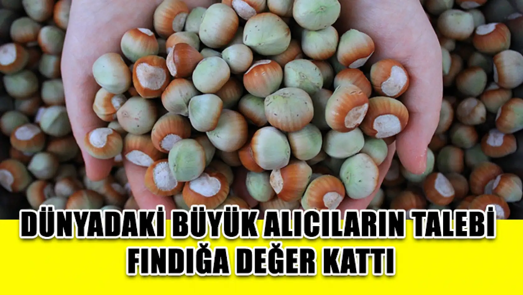 Dünyadaki büyük alıcıların talebi fındığa değer kattı