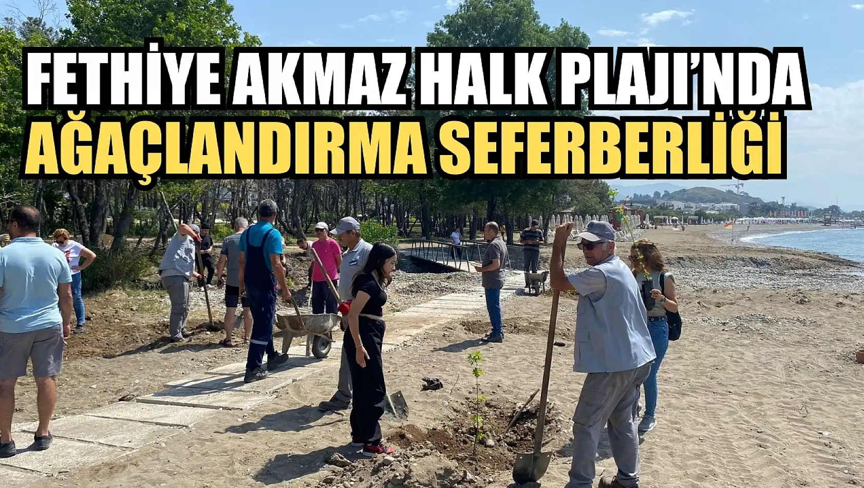 Fethiye Akmaz Halk Plajı'nda Ağaçlandırma Seferberliği