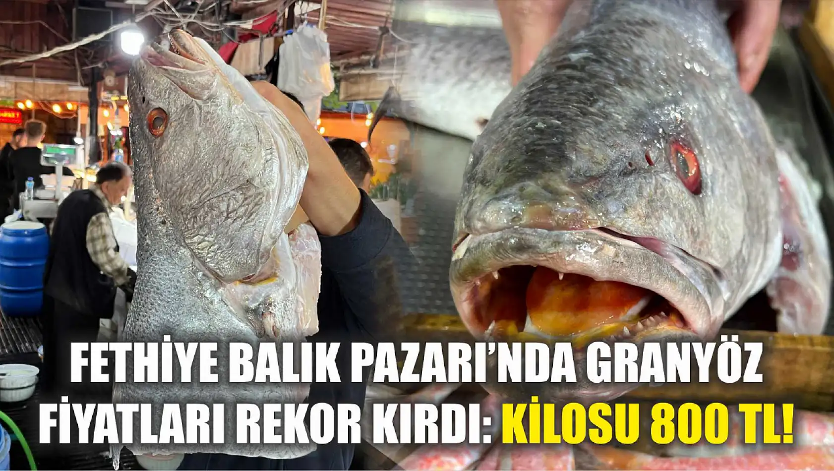 Fethiye Balık Pazarı'nda Granyöz (Kaya Levreği) Fiyatları Rekor Kırdı: Kilosu 800 TL!