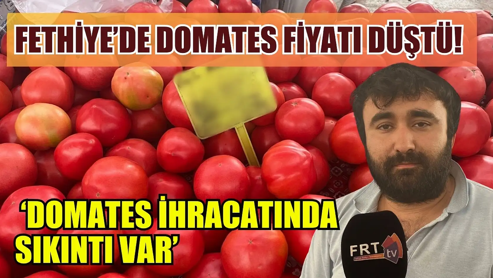 Fethiye'de domates fiyatı düştü! Ayat, 'Domates ihracatında sıkıntı var'