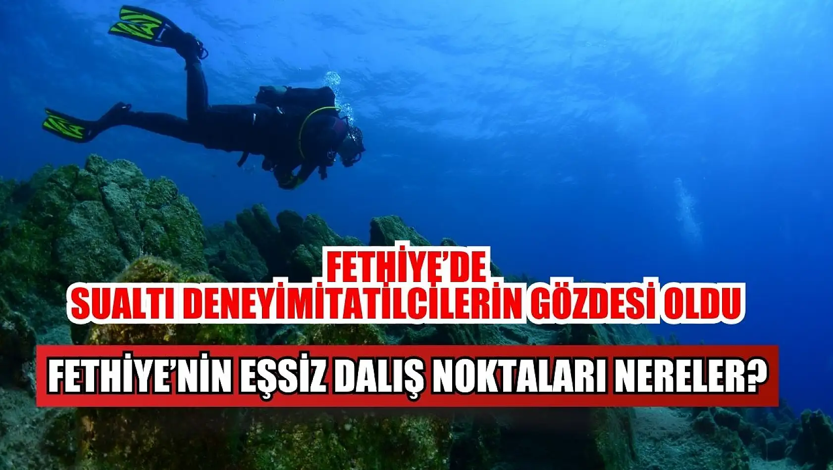 Fethiye'de sualtı deneyimi tatilcilerin gözdesi oldu Fethiye'nin eşsiz dalış noktaları nereler