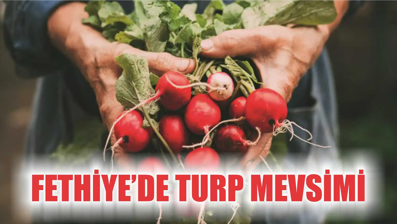 Fethiye'de turp mevsimi