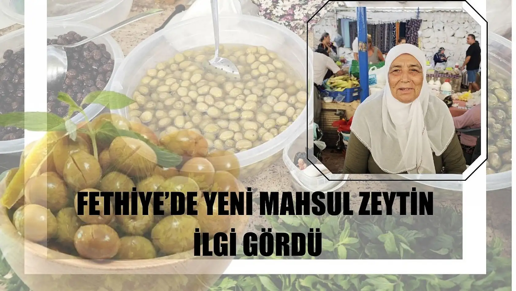 Fethiye'de yeni mahsul zeytin ilgi gördü