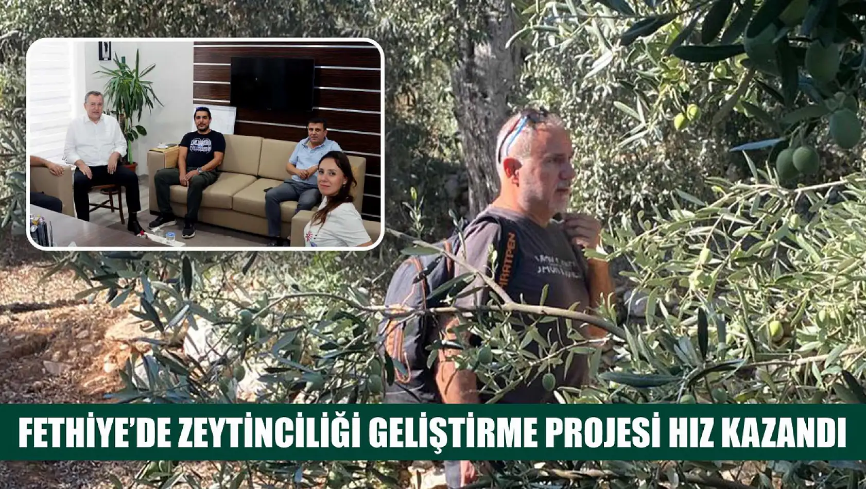 Fethiye'de Zeytinciliği Geliştirme Projesi Hız Kazandı