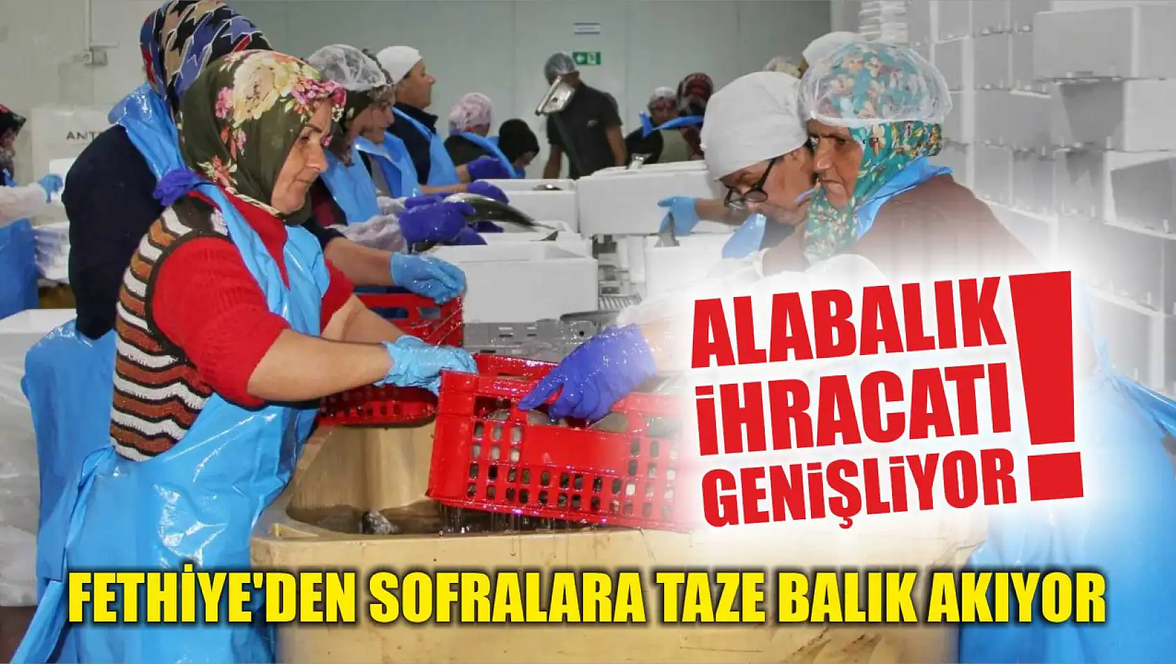 Fethiye'den Sofralara Taze Balık Akıyor: Alabalık İhracatı Genişliyor!