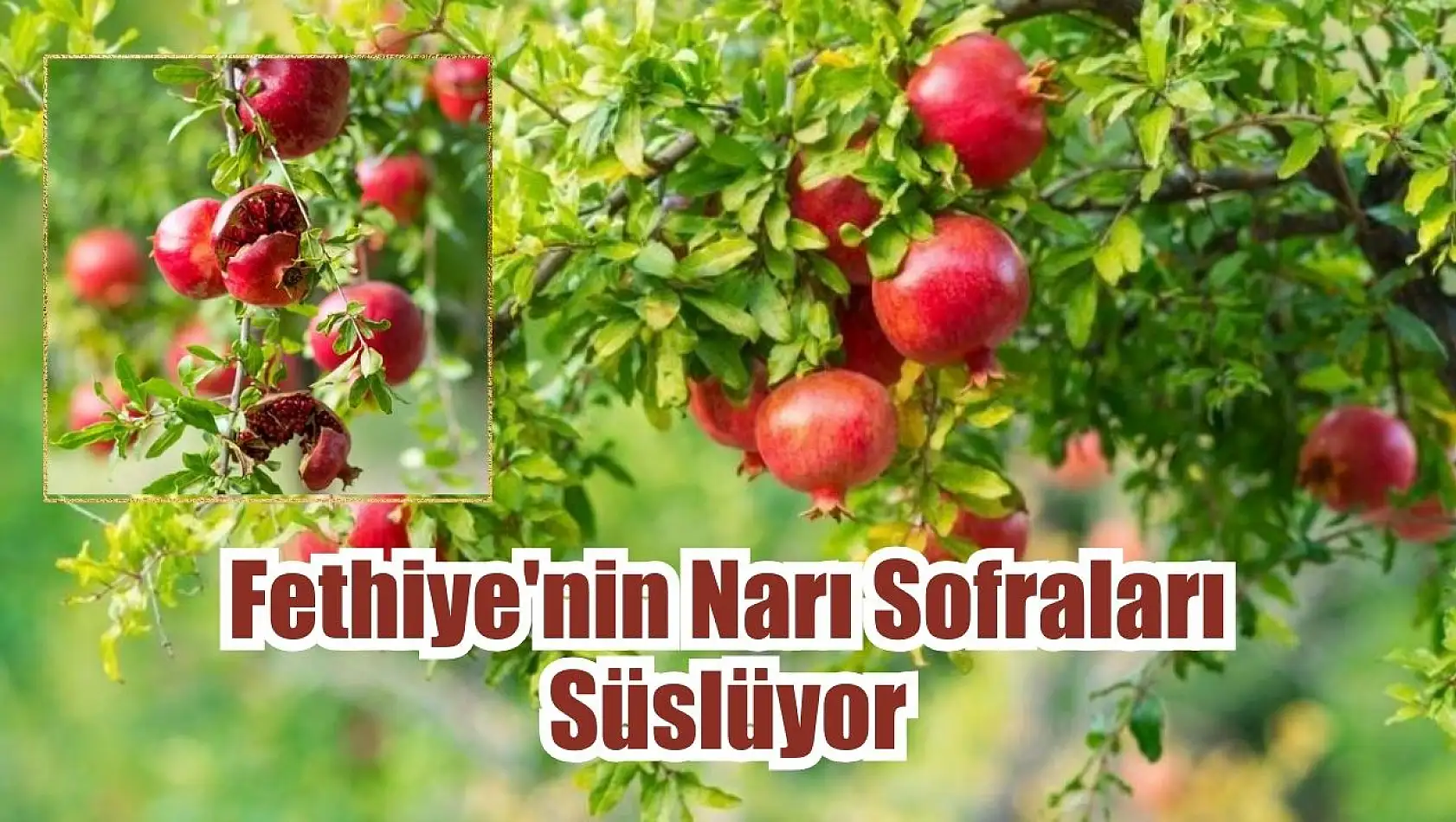 Fethiye'nin Narı Sofraları Süslüyor