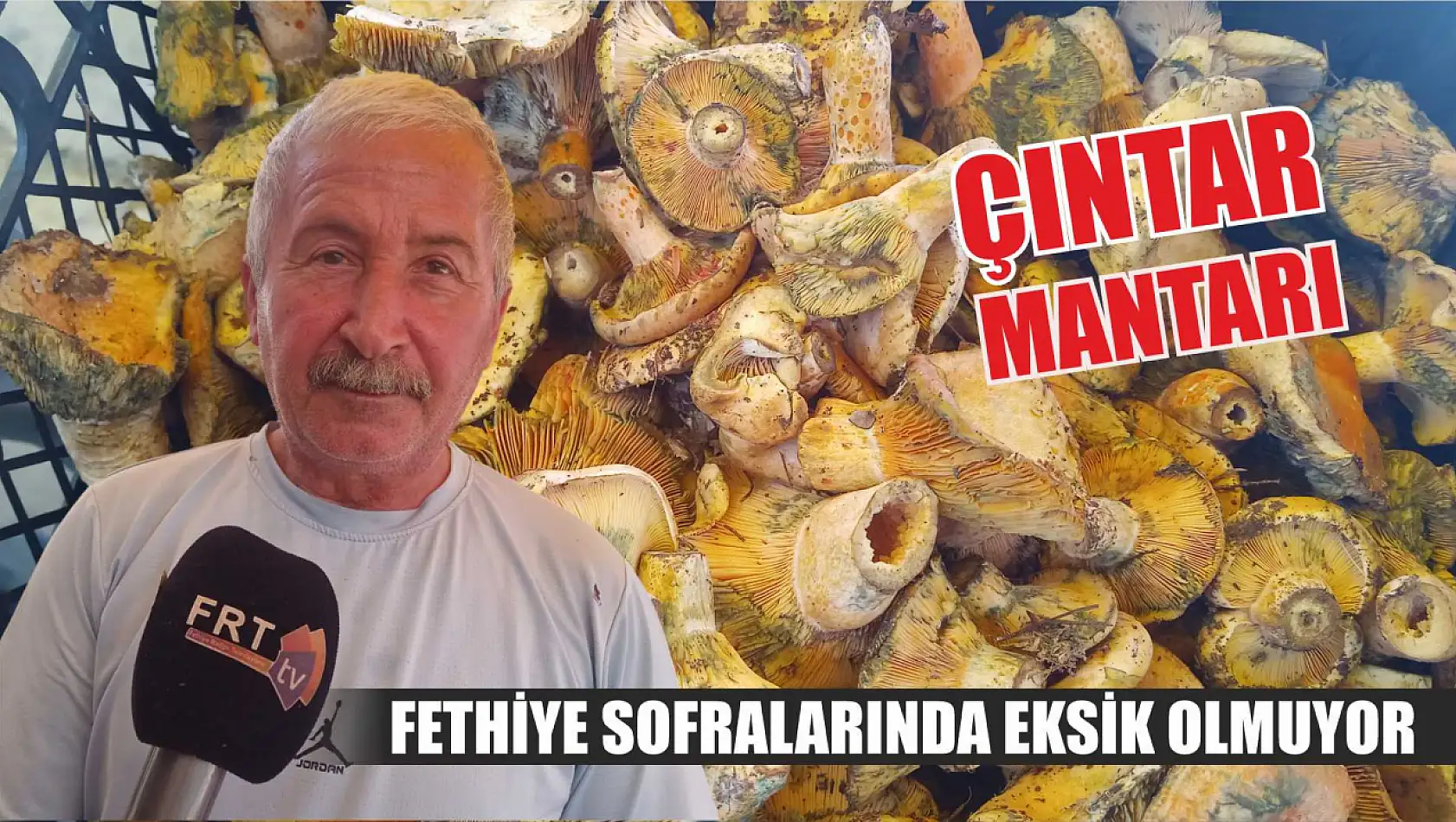 Fethiye sofralarında eksik olmuyor: Çıntar Mantarı