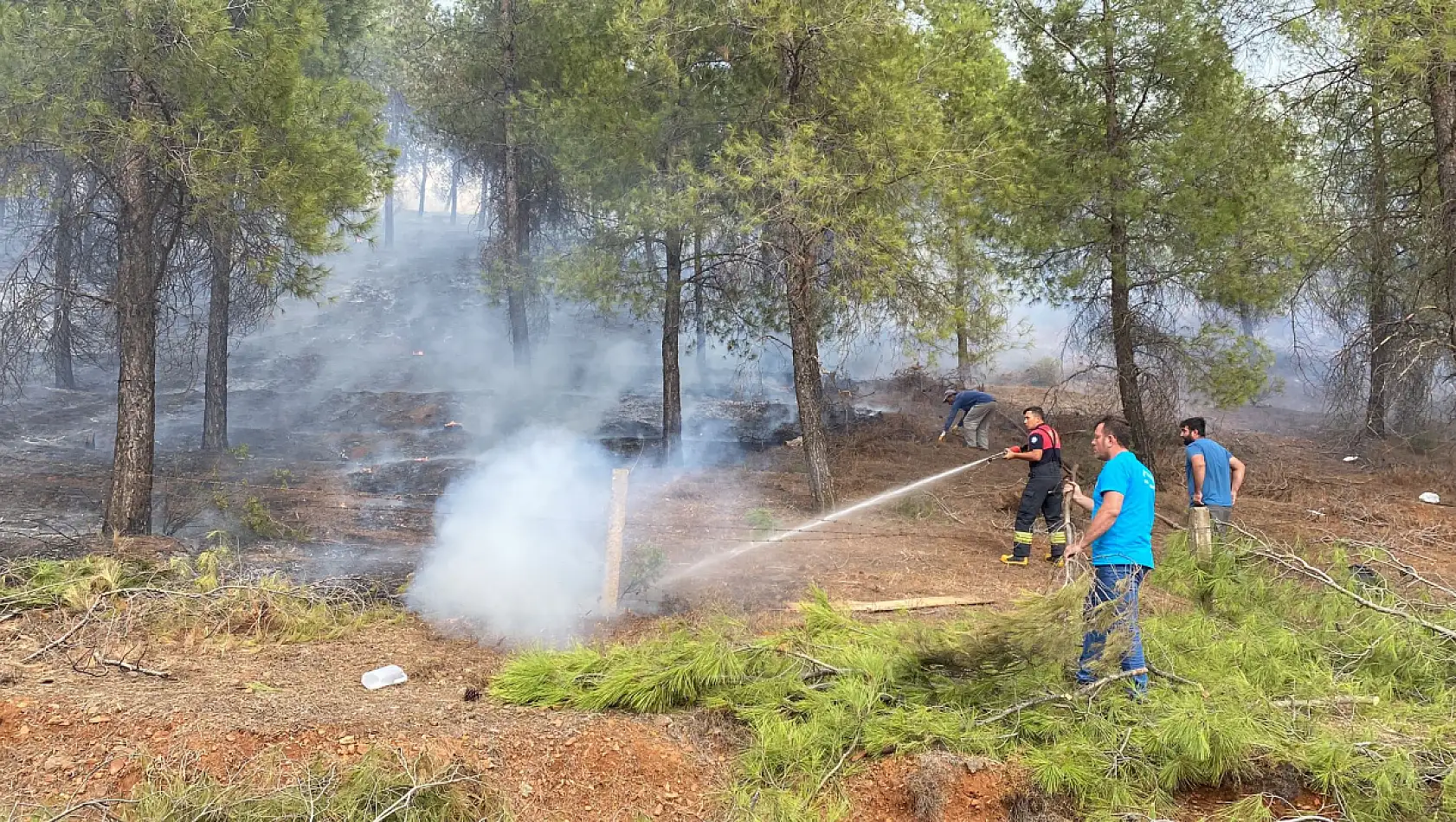 Seydikemer'de Orman Yangını Meydana Geldi 