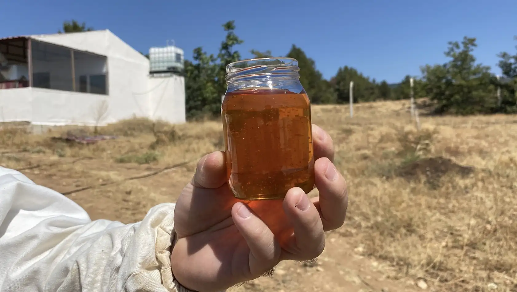 2 bin 925 prolin değeri ile dünyanın en iyi balını üretti