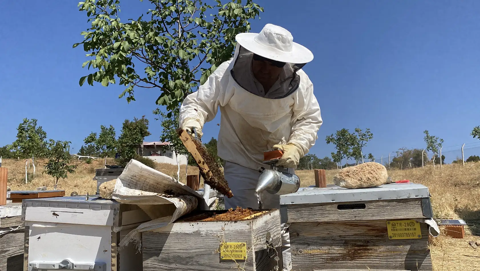 2 bin 925 prolin değeri ile dünyanın en iyi balını üretti