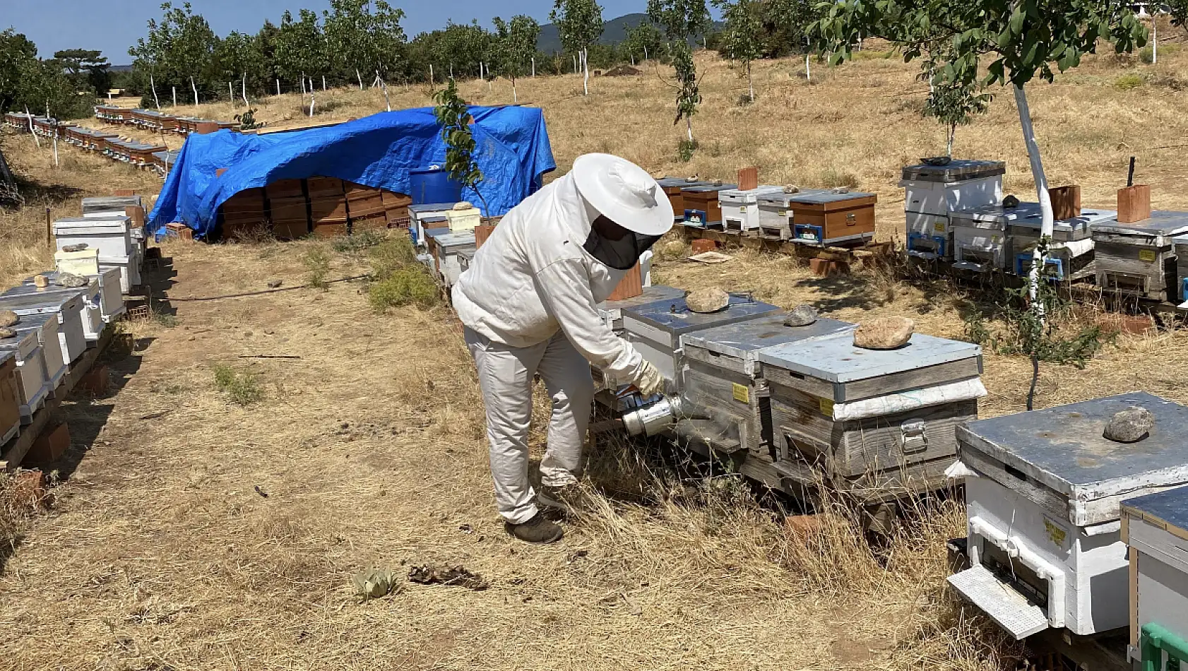 2 bin 925 prolin değeri ile dünyanın en iyi balını üretti