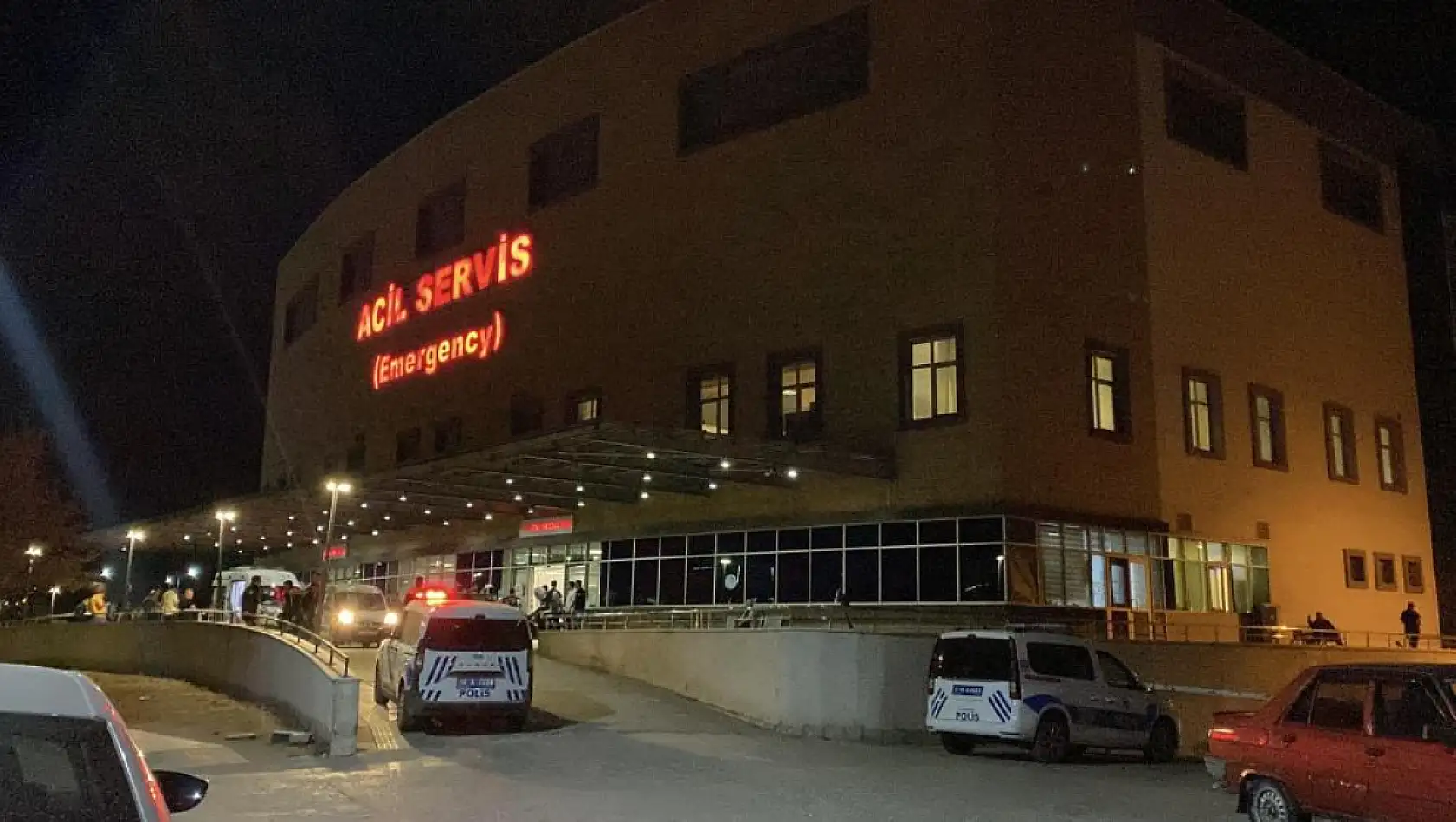 'Hayvan otlatma' kavgası kanlı bitti: Komşusunu öldürüp intihar etti