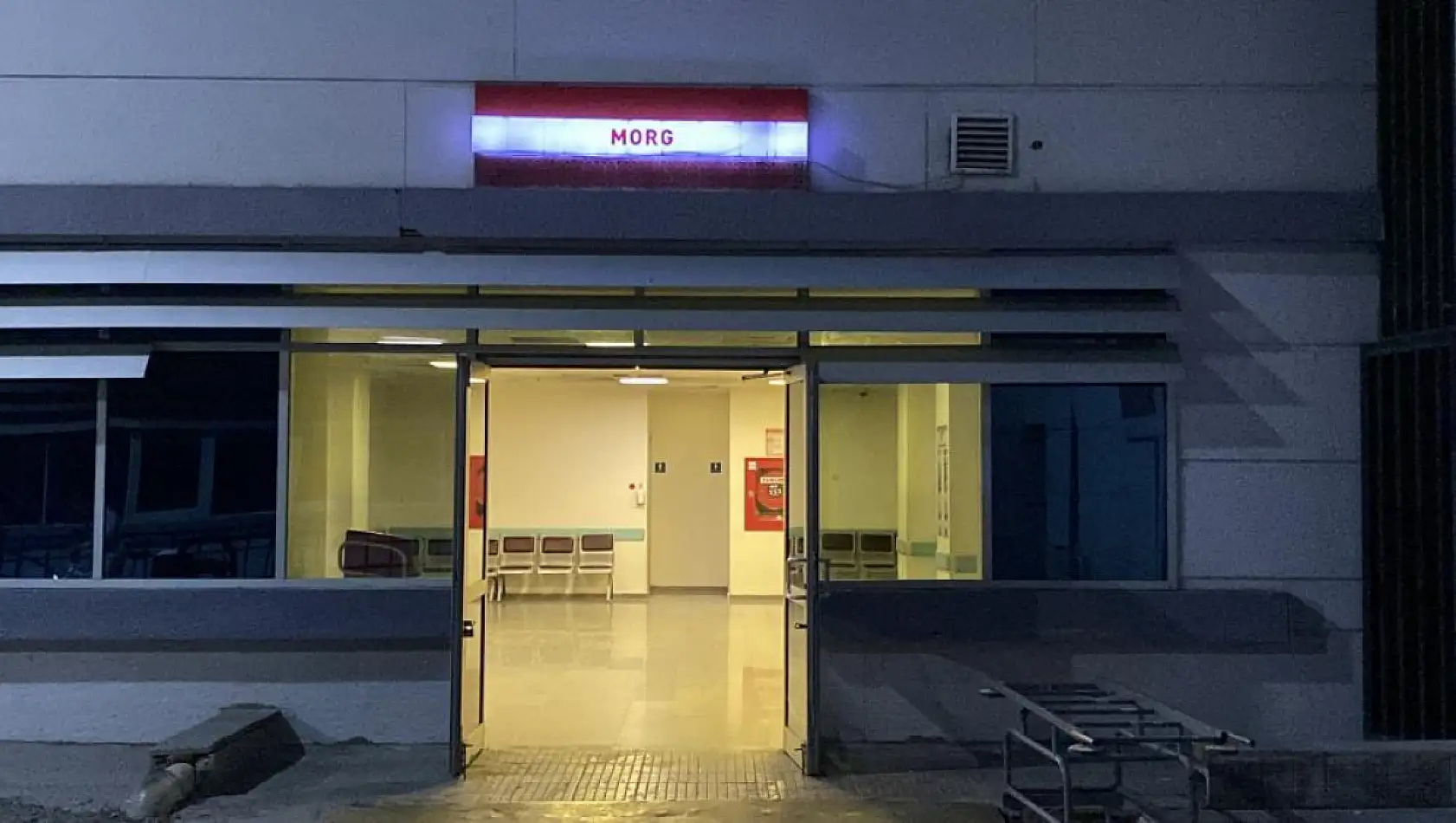 'Hayvan otlatma' kavgası kanlı bitti: Komşusunu öldürüp intihar etti