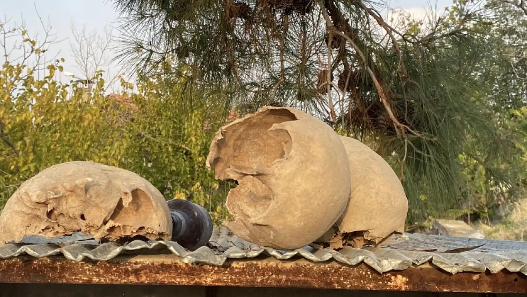 Kazı çalışması sırasında insan kemikleri bulundu