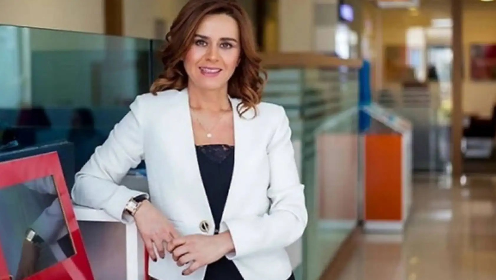 Seçil Erzan ifadesinde 'Ölmek tek çarem' dedi!