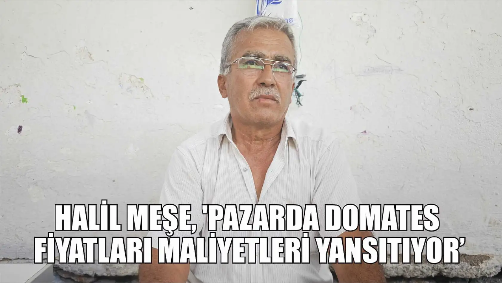 Halil Meşe, 'Pazarda Domates Fiyatları Maliyetleri Yansıtıyor'