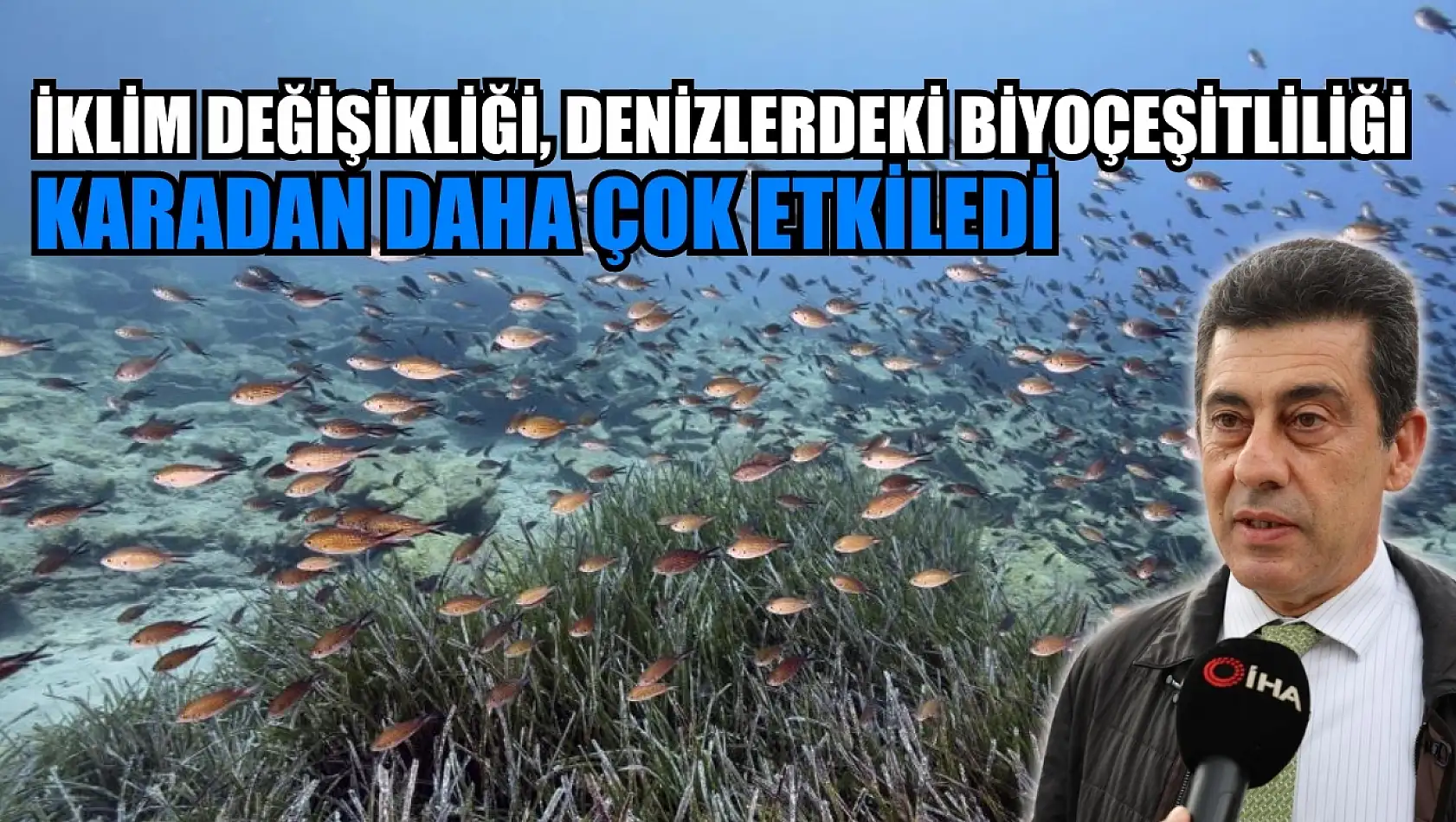 İklim değişikliği, denizlerdeki biyoçeşitliliği karadan daha çok etkiledi