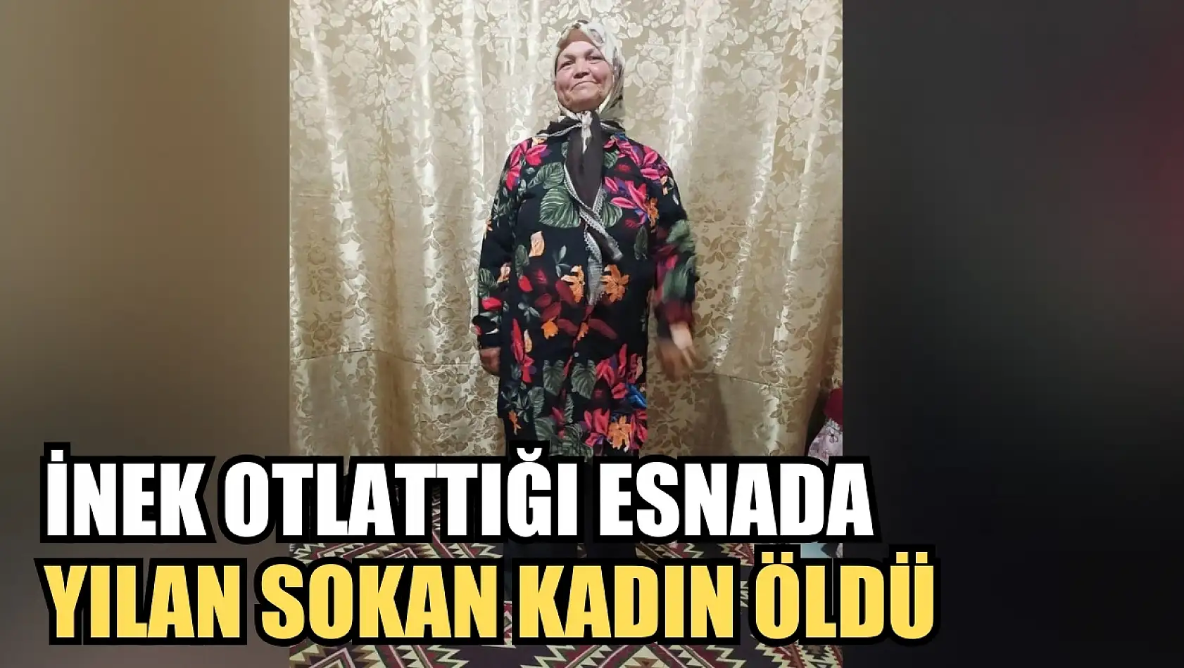 İnek otlattığı esnada yılan sokan kadın öldü