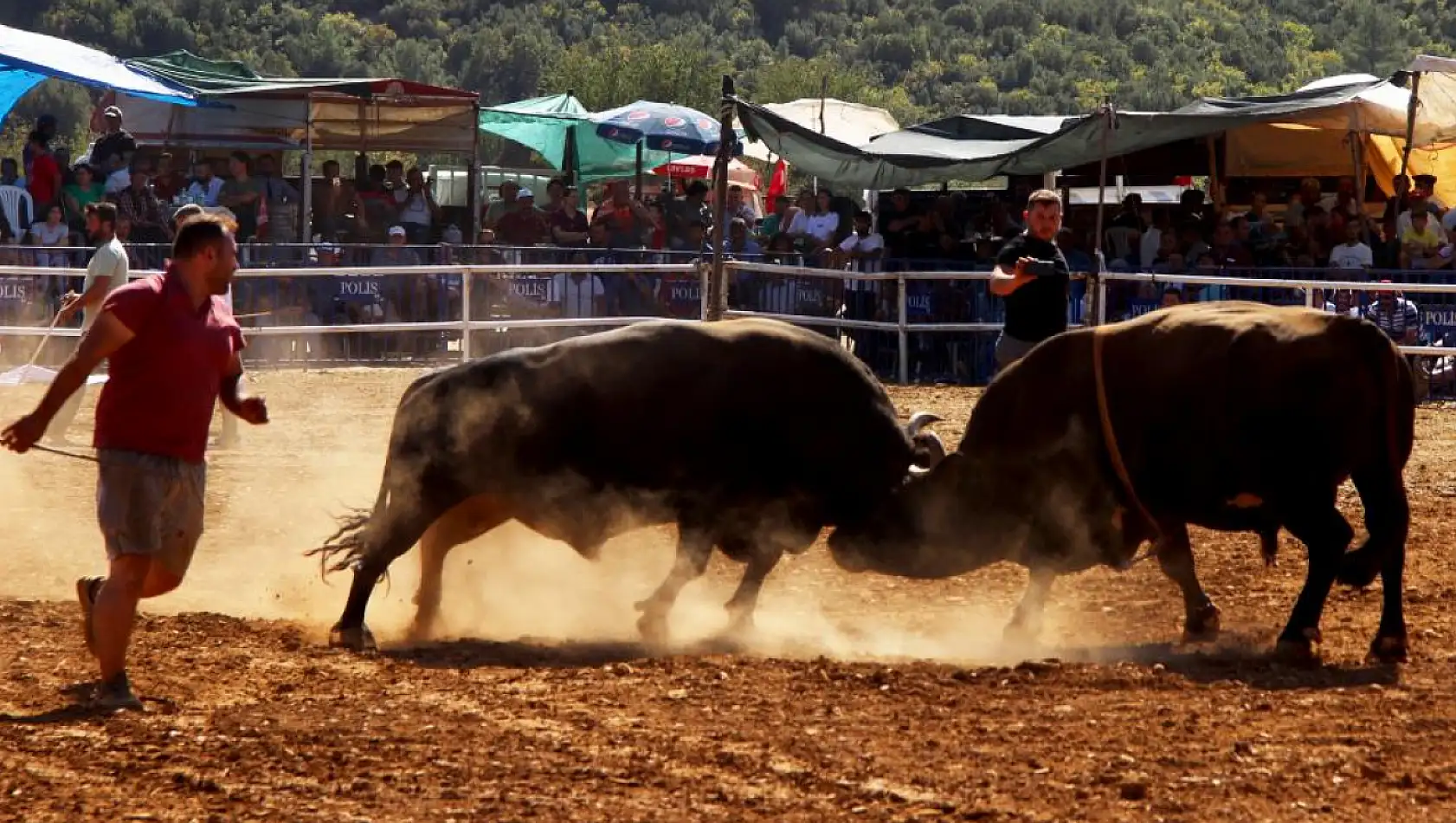 İspanya değil Muğla