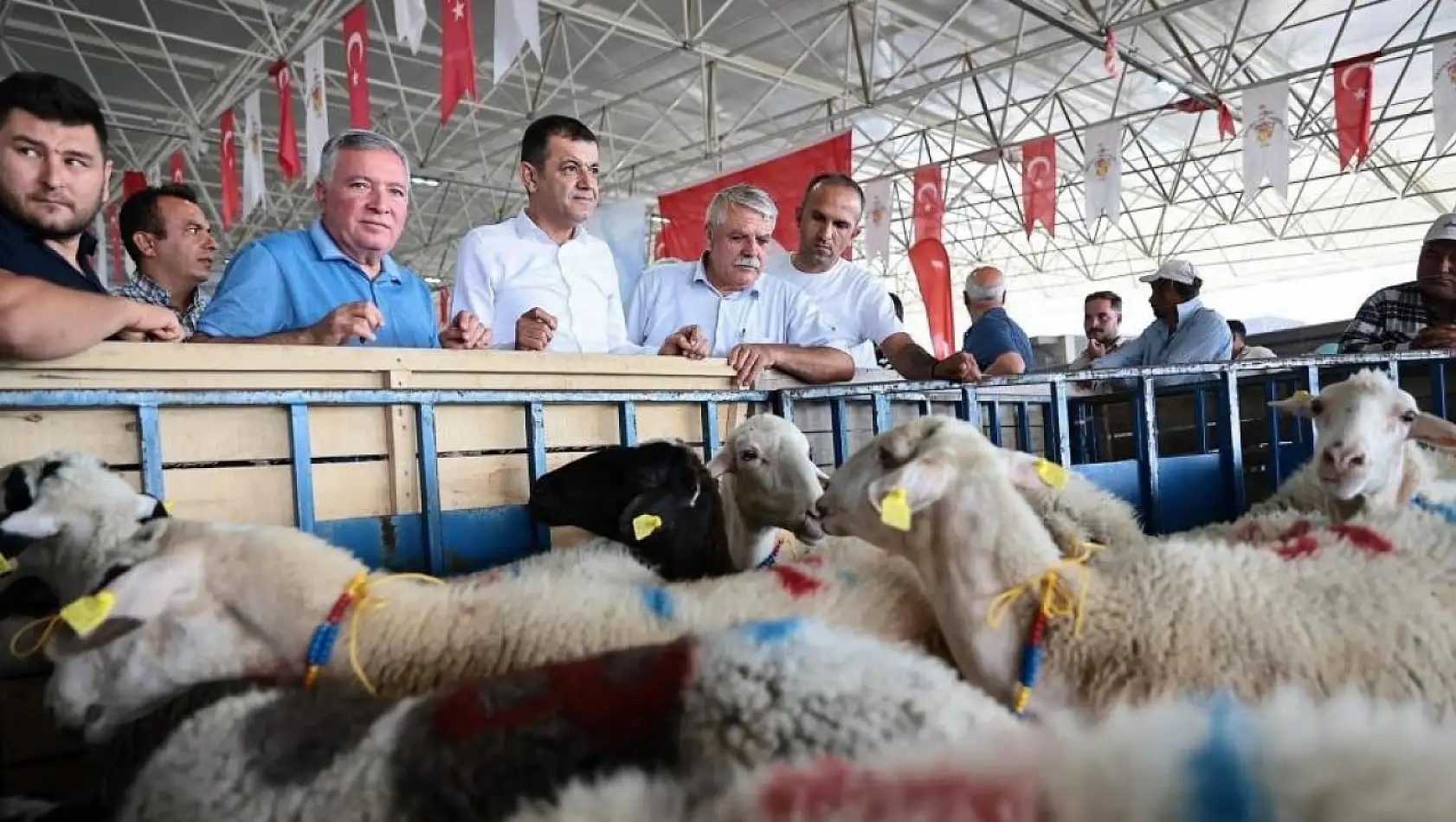 İşte o belediyeden kadın üreticilere koyun desteği