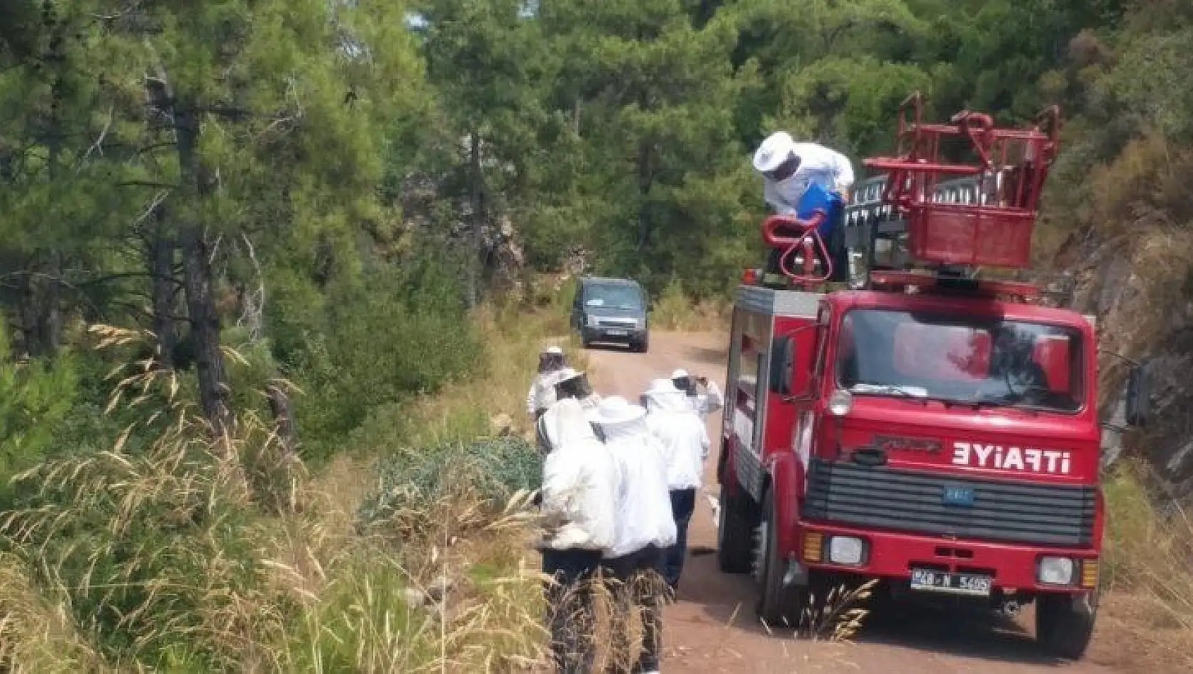 İtfaiye ekipleri bu defa arıların kızgınlığını gidermek için görev yaptı