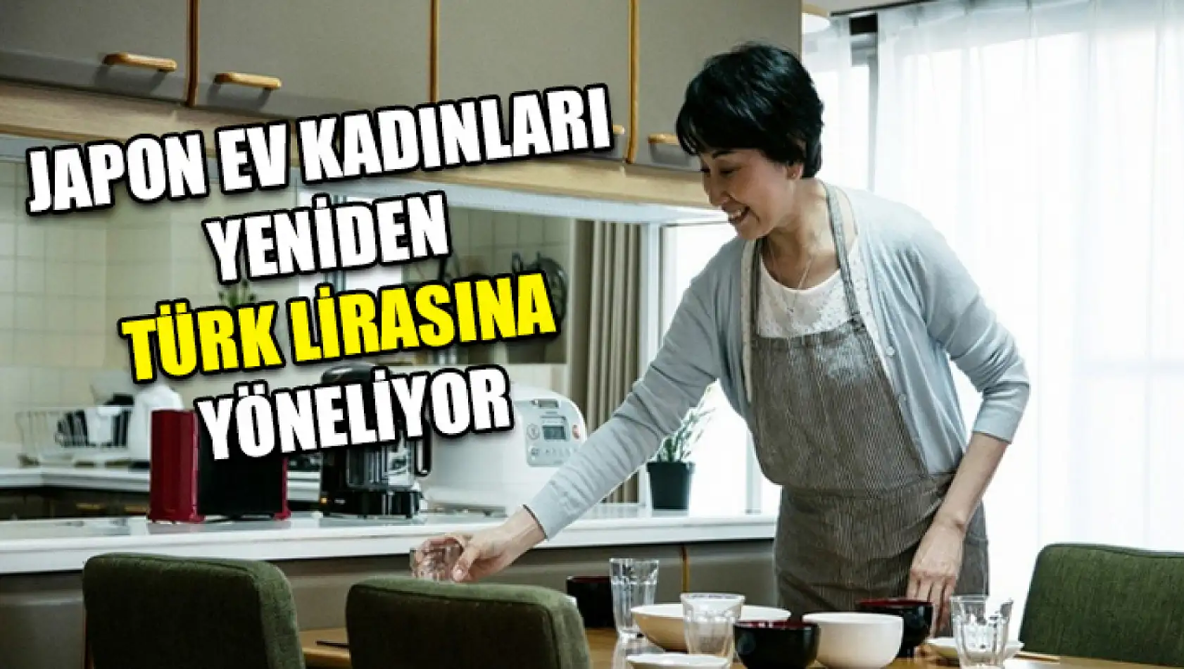 Japon Ev Kadınları Yeniden Türk Lirasına Yöneliyor