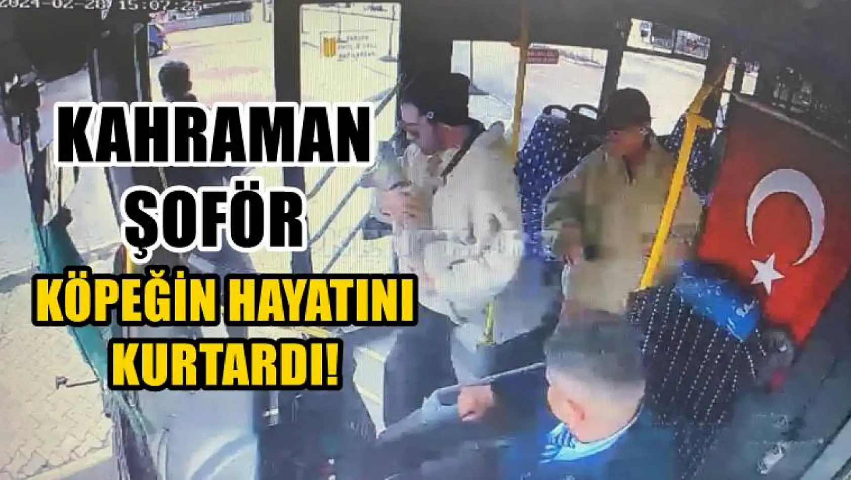 Kahraman şoför köpeğin hayatını kurtardı!