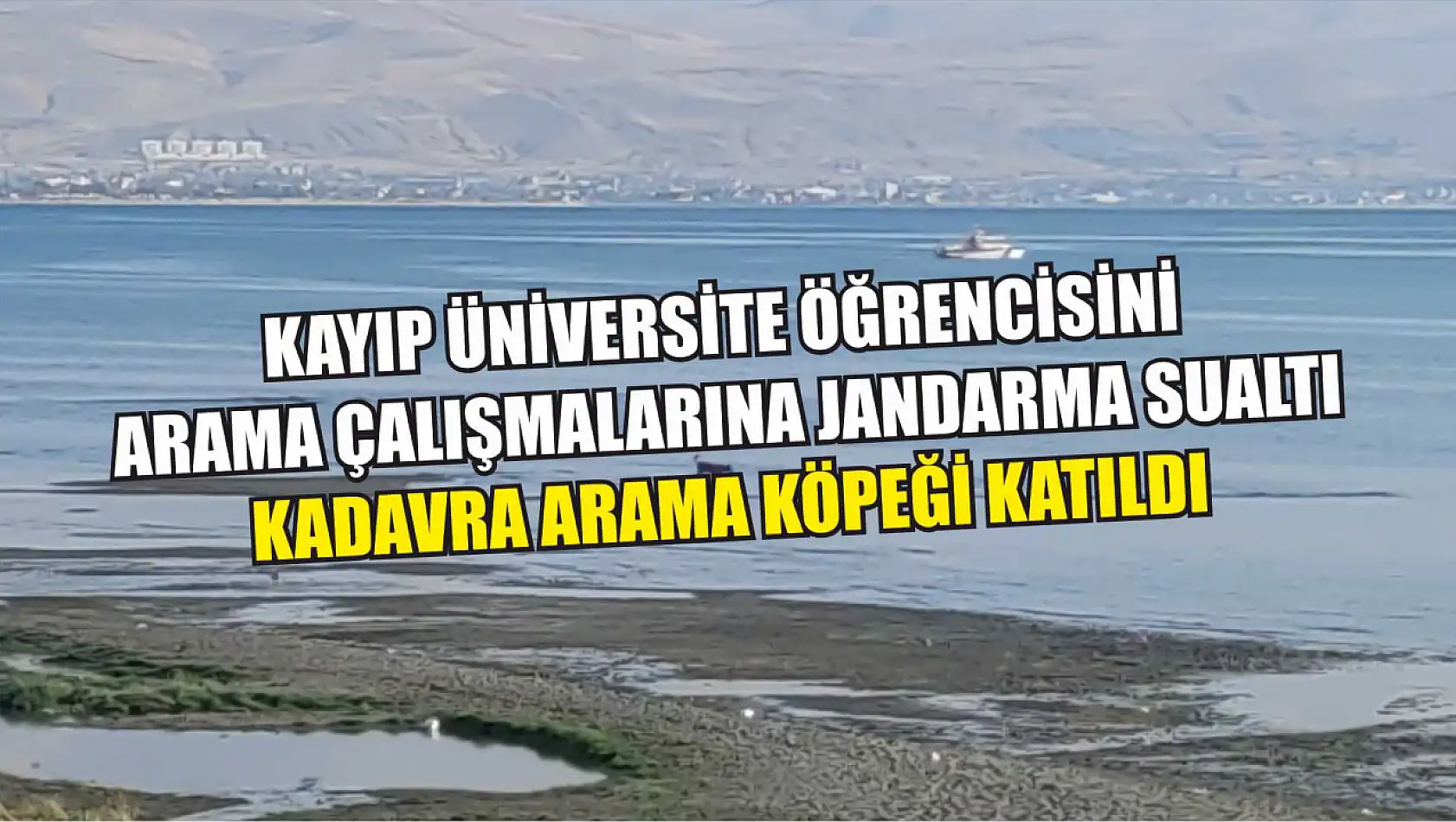 Kayıp üniversite öğrencisini arama çalışmalarına jandarma sualtı kadavra arama köpeği katıldı