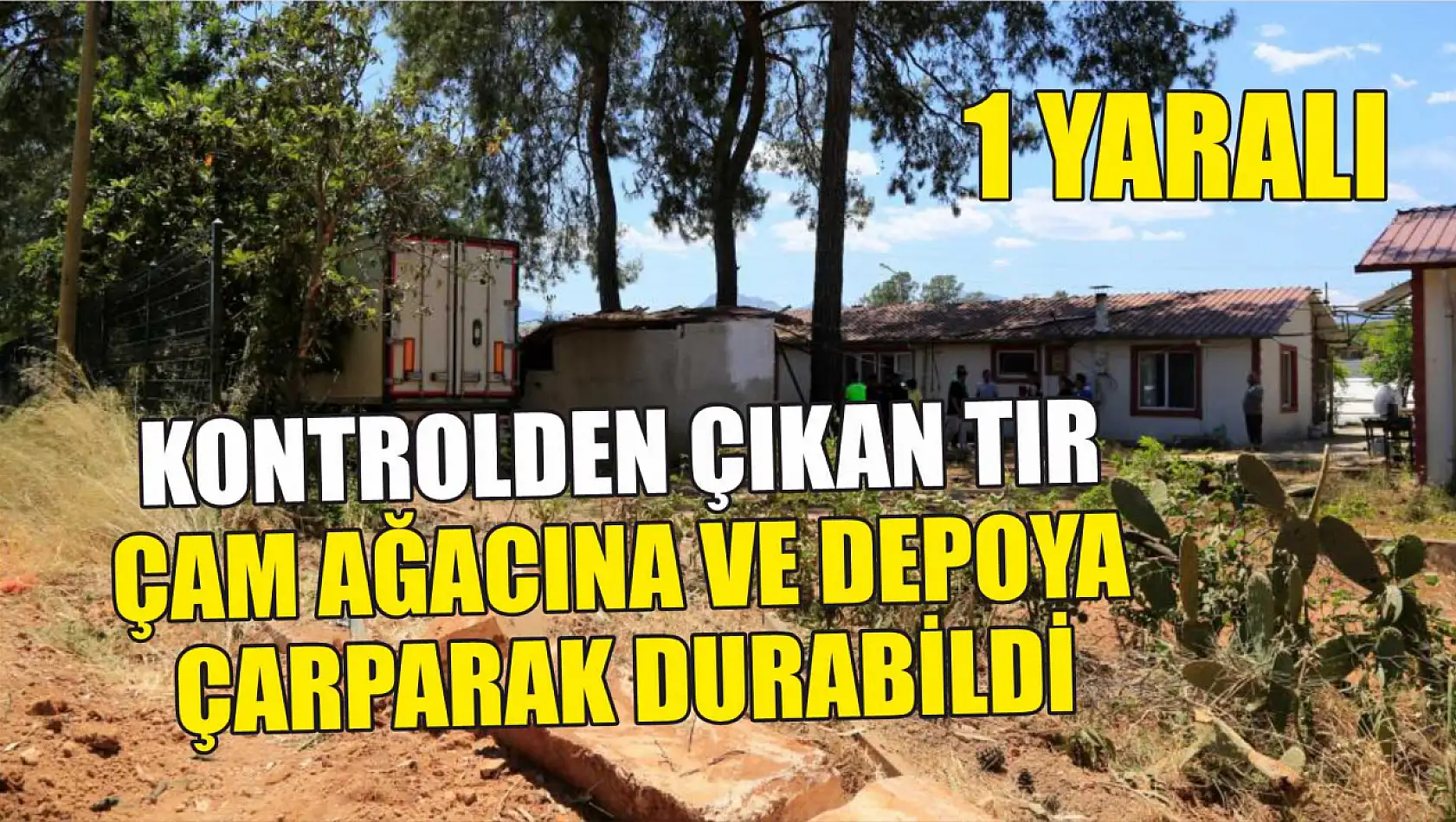 Kontrolden çıkan tır, çam ağacına ve depoya çarparak durabildi: 1 yaralı