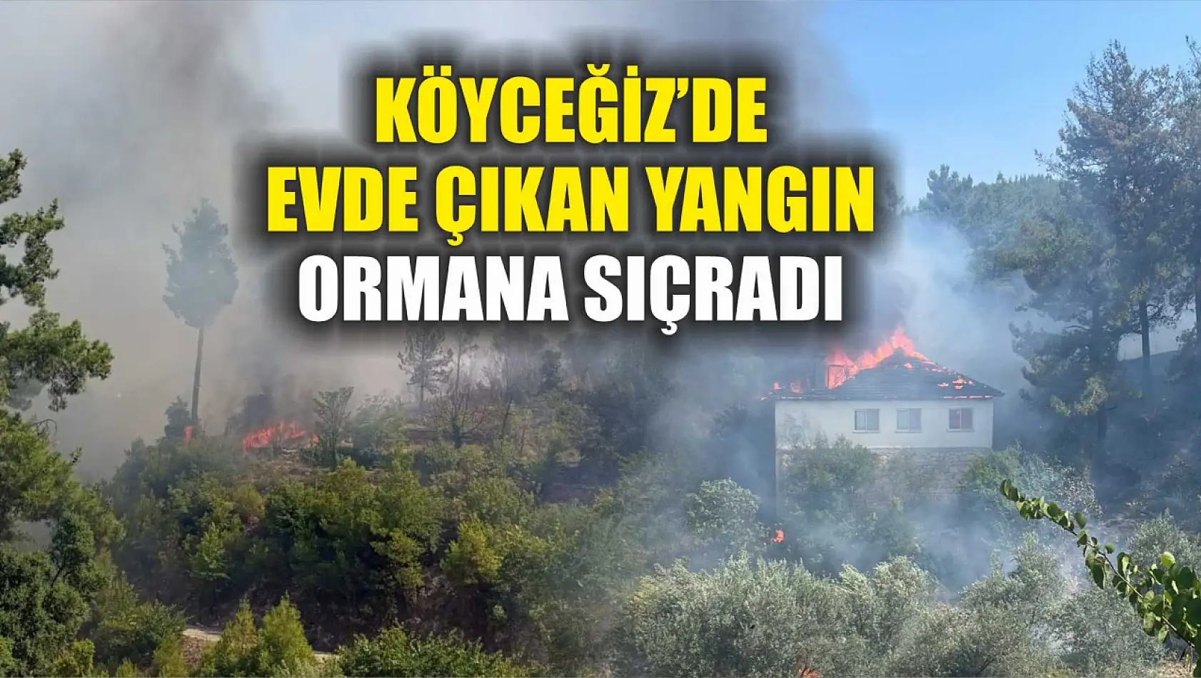 Köyceğiz'de evde çıkan yangın ormana sıçradı