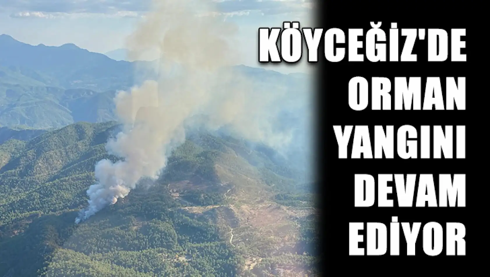 Köyceğiz'de orman yangını devam ediyor