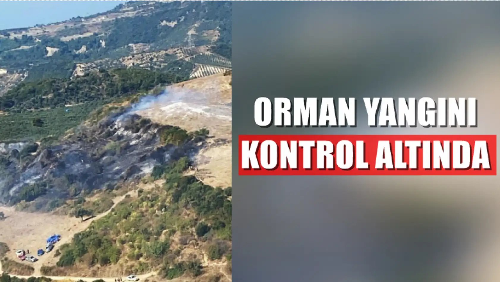 Köyceğiz'de Orman yangını kontrol altında