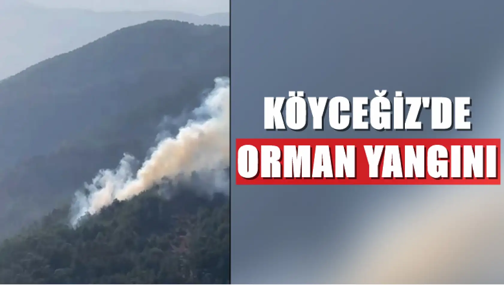 Köyceğiz'de Orman Yangını