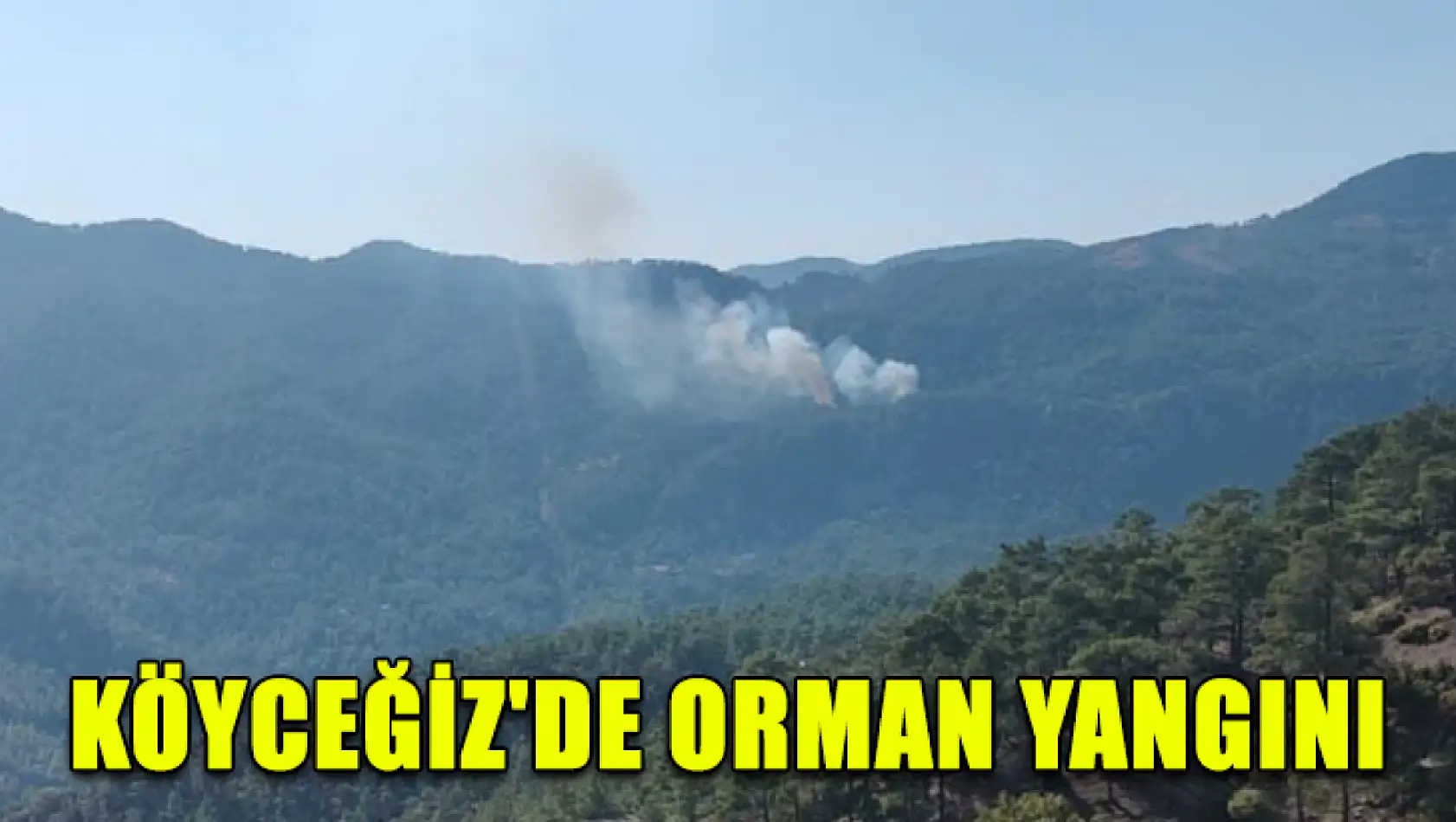 Köyceğiz'de orman yangını