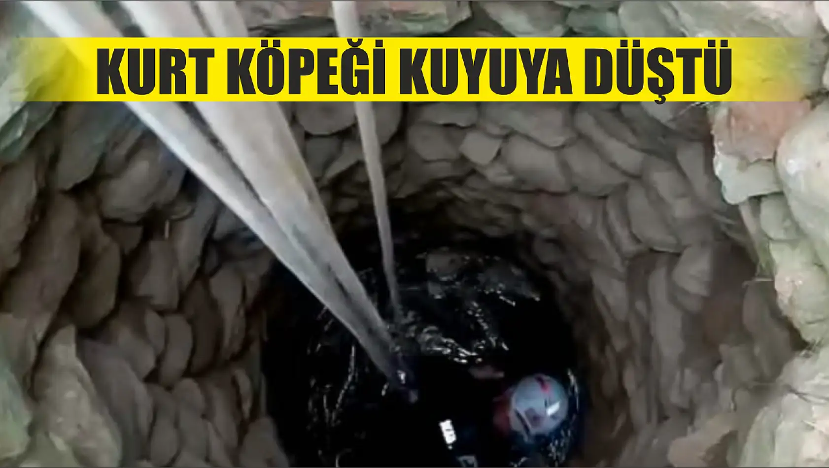 Kurt köpeği kuyuya düştü