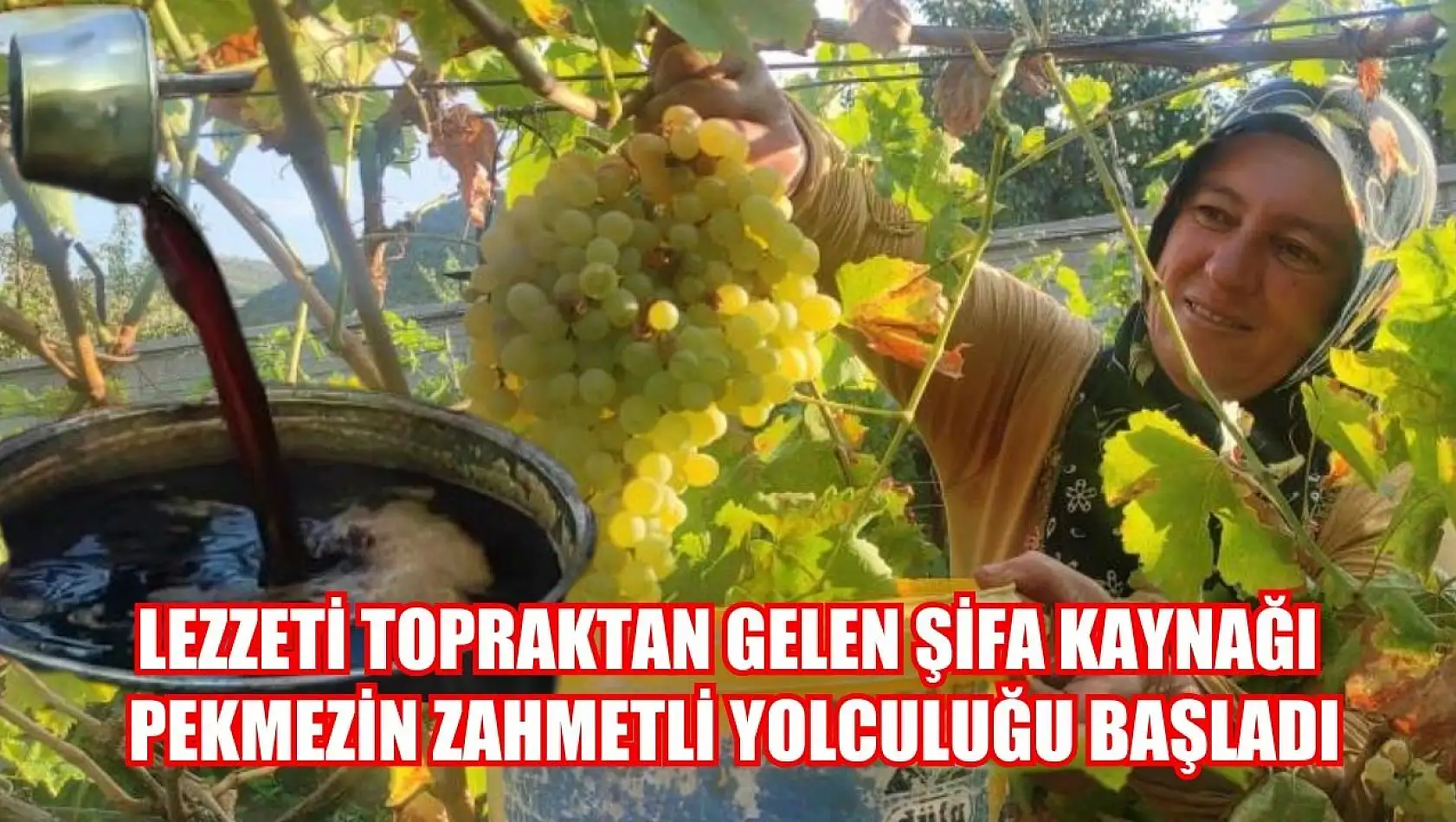 Lezzeti topraktan gelen şifa kaynağı pekmezin zahmetli yolculuğu başladı