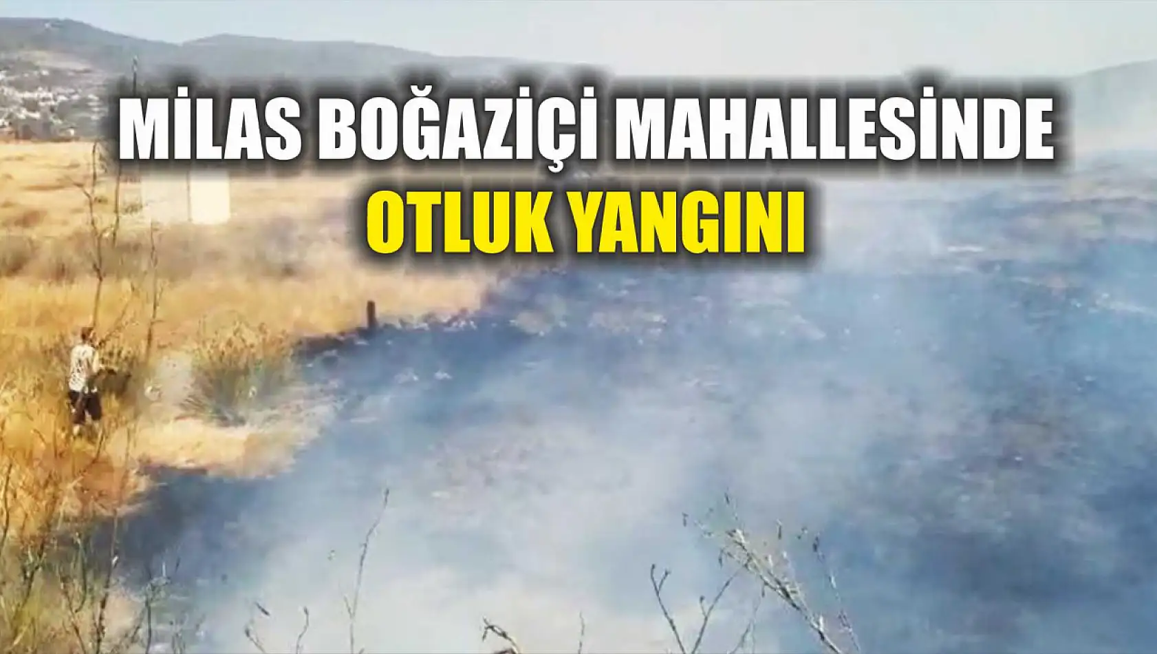 Milas Boğaziçi Mahallesinde otluk yangını