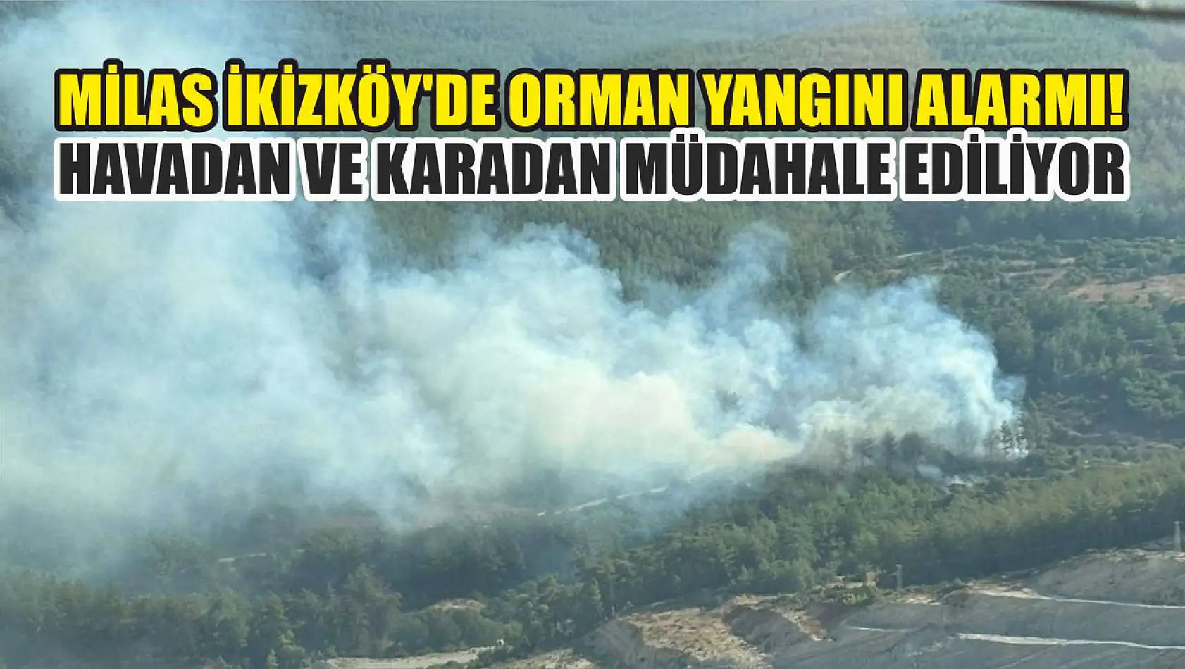 Milas İkizköy'de orman yangını alarmı Havadan ve karadan müdahale ediliyor