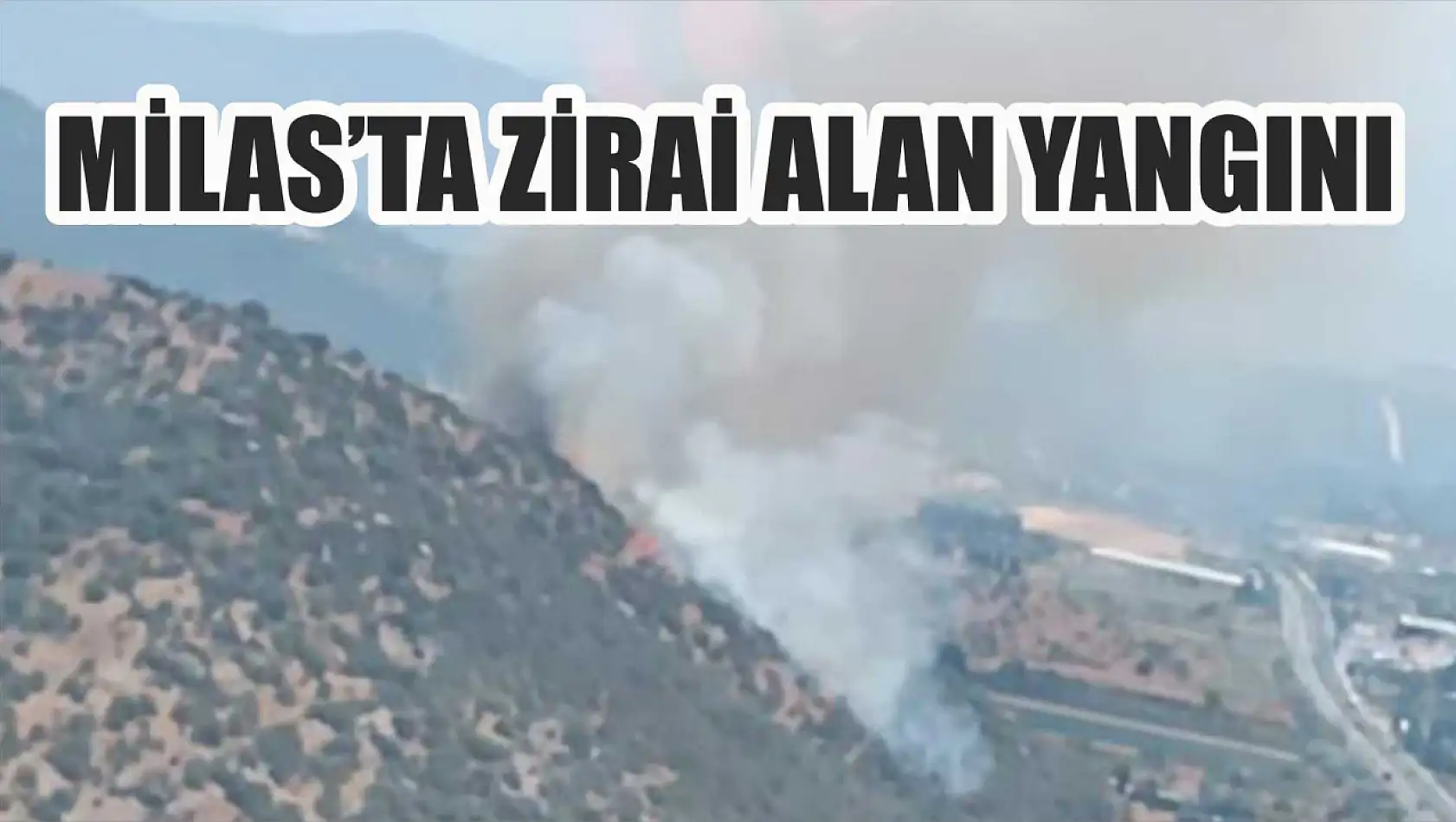 Milas'ta zirai alan yangını